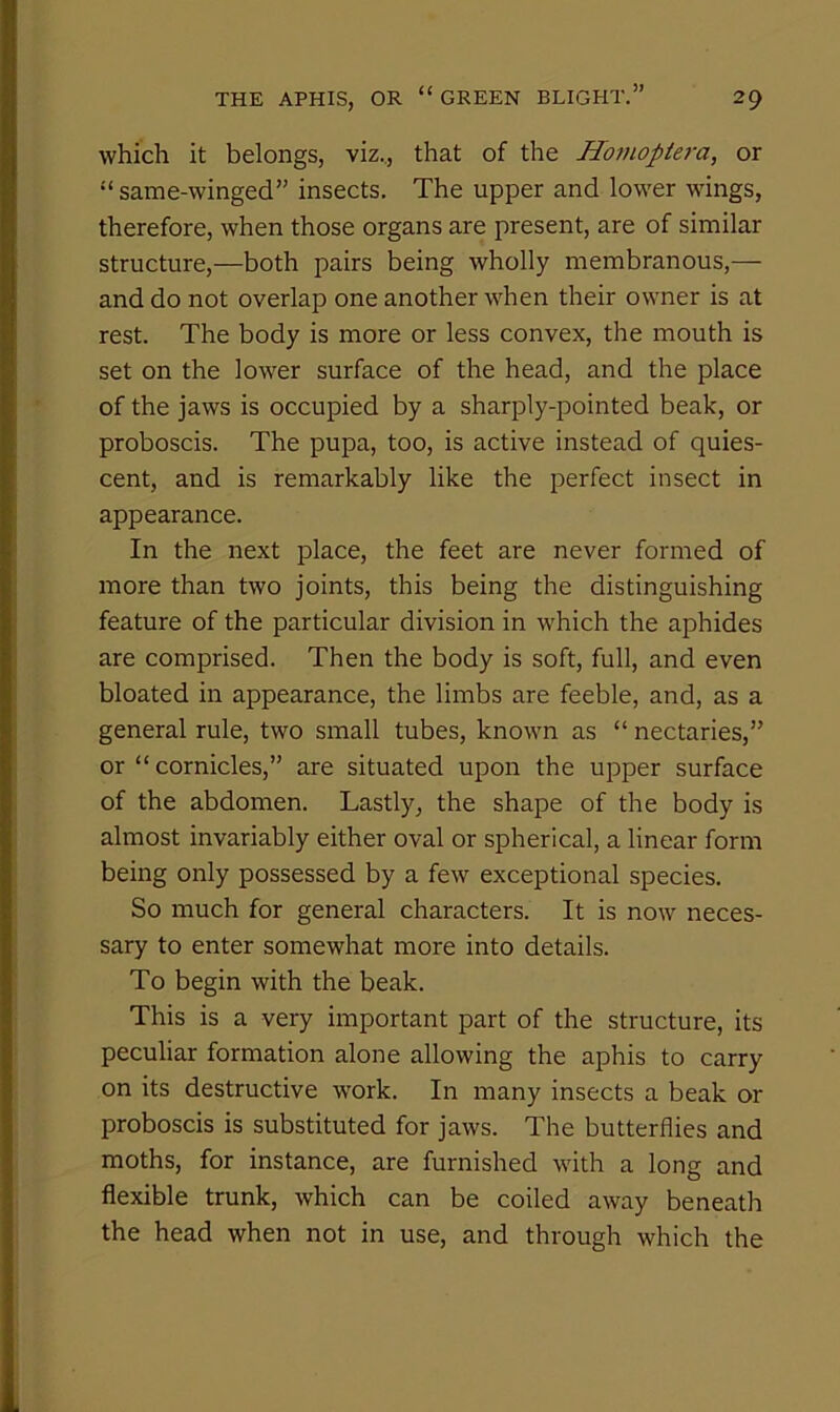 which it belongs, viz.., that of the Ho7uopte7-a, or “same-winged” insects. The upper and lower wings, therefore, when those organs are present, are of similar structure,—both pairs being wholly membranous,— and do not overlap one another when their owner is at rest. The body is more or less convex, the mouth is set on the lower surface of the head, and the place of the jaws is occupied by a sharply-pointed beak, or proboscis. The pupa, too, is active instead of quies- cent, and is remarkably like the perfect insect in appearance. In the next place, the feet are never formed of more than two joints, this being the distinguishing feature of the particular division in which the aphides are comprised. Then the body is soft, full, and even bloated in appearance, the limbs are feeble, and, as a general rule, two small tubes, known as “ nectaries,” or “cornicles,” are situated upon the upper surface of the abdomen. Lastly, the shape of the body is almost invariably either oval or spherical, a linear form being only possessed by a few exceptional species. So much for general characters. It is now neces- sary to enter somewhat more into details. To begin with the beak. This is a very important part of the structure, its peculiar formation alone allowing the aphis to carry on its destructive w’ork. In many insects a beak or proboscis is substituted for jaws. The butterflies and moths, for instance, are furnished with a long and flexible trunk, which can be coiled away beneath the head when not in use, and through which the