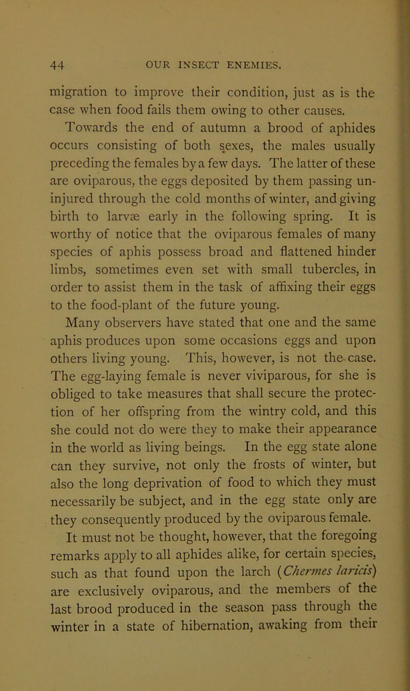 migration to improve their condition, just as is the case when food fails them owing to other causes. Towards the end of autumn a brood of aphides occurs consisting of both sexes, the males usually preceding the females by a few days. The latter of these are oviparous, the eggs deposited by them passing un- injured through the cold months of winter, and giving birth to larvae early in the following spring. It is worthy of notice that the oviparous females of many species of aphis possess broad and flattened hinder limbs, sometimes even set with small tubercles, in order to assist them in the task of affixing their eggs to the food-plant of the future young. Many observers have stated that one and the same aphis produces upon some occasions eggs and upon others living young. This, however, is not the- case. The egg-laying female is never viviparous, for she is obliged to take measures that shall secure the protec- tion of her offspring from the wintry cold, and this she could not do were they to make their appearance in the world as living beings. In the egg state alone can they survive, not only the frosts of winter, but also the long deprivation of food to which they must necessarily be subject, and in the egg state only are they consequently produced by the oviparous female. It must not be thought, however, that the foregoing remarks apply to all aphides alike, for certain species, such as that found upon the larch (Chermes laricis) are exclusively oviparous, and the members of the last brood produced in the season pass through the winter in a state of hibernation, awaking from their
