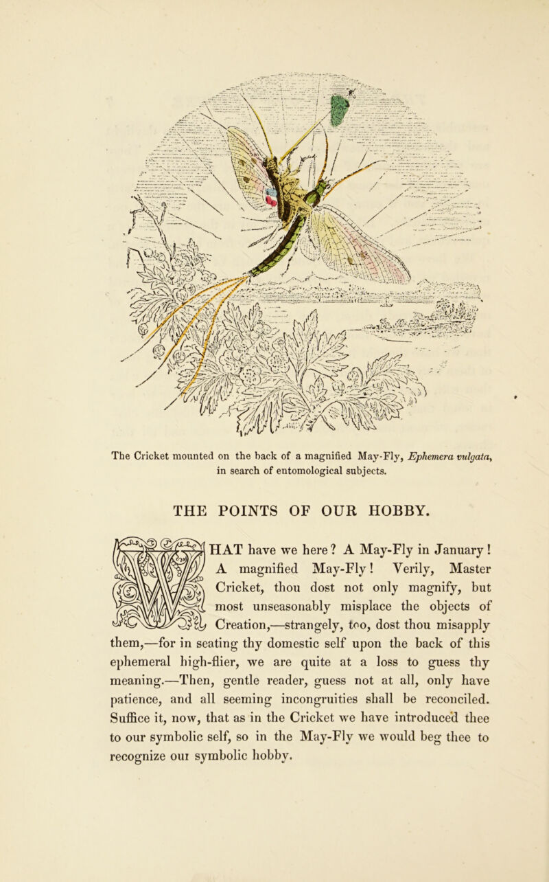 The Cricket mounted on the back of a magnified May-Fly, Ephemera vulgata, in search of entomological subjects. THE POINTS OF OUR HOBBY. HAT have we here ? A May-Fly in January ! A magnified May-Fly! Verily, Master Cricket, thou dost not only magnify, but most unseasonably misplace the objects of Creation,—strangely, too, dost thou misapply them,—for in seating thy domestic self upon the back of this ephemeral high-flier, we are quite at a loss to guess thy meaning.—Then, gentle reader, guess not at all, only have patience, and all seeming incongruities shall be reconciled. Suffice it, now, that as in the Cricket we have introduced thee to our symbolic self, so in the May-Fly we would beg thee to recognize oui symbolic hobby.