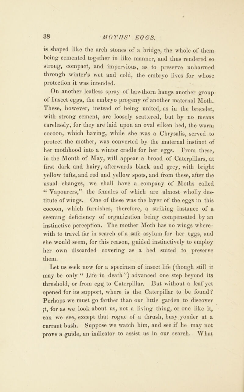 is shaped like the arch stones of a bridge, the whole of them being cemented together in like manner, and thus rendered so strong, compact, and impervious, as to preserve unharmed through winter’s wet and cold, the embryo lives for whose protection it w^as intended. On another leafless spray of hawthorn hangs another group- of Insect eggs, the embryo progeny of another maternal Moth. These, however, instead of being united, as in the bracelet, with strong cement, are loosely scattered, but by no means carelessly, for they are laid upon an oval silken bed, the warm cocoon, which having, while she was a Chrysalis, served to protect the mother, was converted by the maternal instinct of her mothhood into a winter cradle for her eggs. From these, in the Month of May, will appear a brood of Caterpillars, at first dark and hairy, afterwards black and grey, with bright yellow tufts, and red and yellow spots, and from these, after the usual changes, we shall have a company of Moths called Vapourers,” the females of which are almost wholly des- titute of wings. One of these was the layer of the eggs in this cocoon, which furnishes, therefore, a striking instance of a seeming deficiency of organization being compensated by an instinctive perception. The mother Moth has no wings where- with to travel far in search of a safe asylum for her eggs, and she would seem, for this reason, guided instinctively to employ her own discarded covering as a bed suited to preserve them. Let us seek now for a specimen of insect life (though still it may be only Life in death”) advanced one step beyond its threshold, or from egg to Caterpillar. But without a leaf yet opened for its support, where is the Caterpillar to be found ? Perhaps we must go farther than our little garden to discover it, for as we look about us, not a living thing, or one like it, can we see, except that rogue of a thrush, busy yonder at a currant bush. Suppose we watch him, and see if he may not prove a guide, an indicator to assist us in our search. What