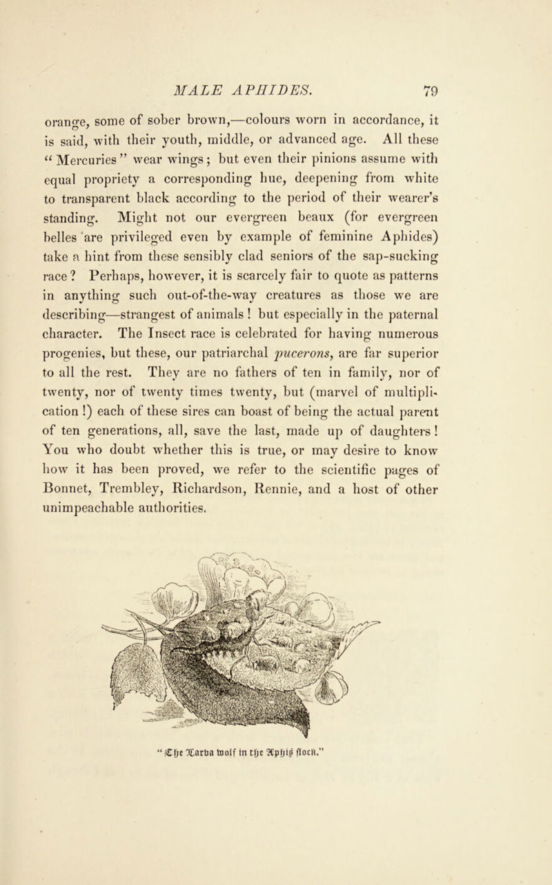 orange, some of sober brown,—colours worn in accordance, it is said, with their youth, middle, or advanced age. All these Mercuries” wear wings; but even their pinions assume with equal propriety a corresponding hue, deepening from white to transparent black according to the period of their wearer’s standing. Might not our evergreen beaux (for evergreen belles'are privileged even by example of feminine Apliides) take a hint from these sensibly clad seniors of the sap-sucking race ? Perhaps, however, it is scarcely fair to quote as patterns in anything such out-of-the-way creatures as those we are describing—strangest of animals ! but especially in the paternal character. The Insect race is celebrated for having numerous progenies, but these, our patriarchal pucei'ons, are far superior to all the rest. They are no fathers of ten in family, nor of twenty, nor of twenty times twenty, but (marvel of multipli' cation !) each of these sires can boast of being the actual parent of ten generations, all, save the last, made up of daughters ! You who doubt whether this is true, or may desire to know how it has been proved, we refer to the scientific pages of Bonnet, Trembley, Richardson, Rennie, and a host of other unimpeachable authorities. “ CDe Xarlja tnolf in tije ?CpBt^ flfocn.”