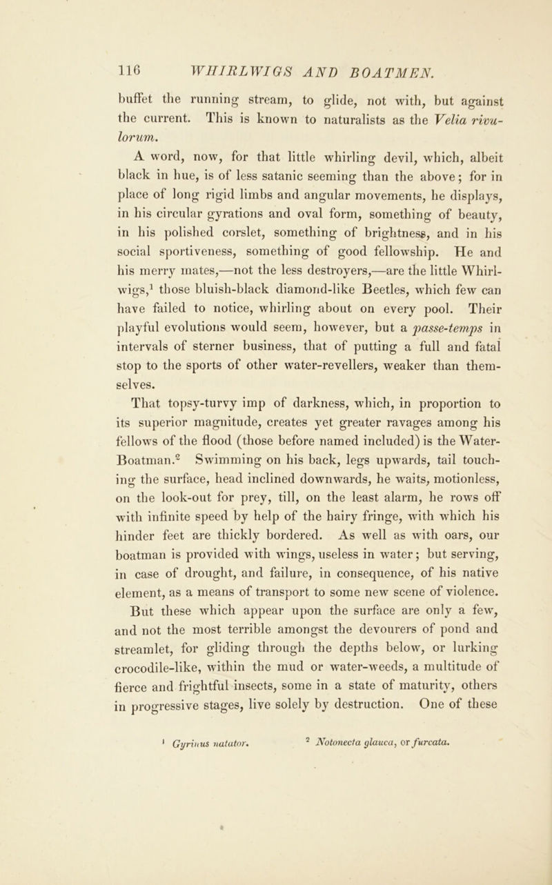 buffet the running stream, to glide, not with, but against the current. This is known to naturalists as the Velia rmu- lorum. A word, now, for that little whirling devil, which, albeit black in hue, is of less satanic seeming than the above; for in place of long rigid limbs and angular movements, he displays, in his circular gyrations and oval form, something of beauty, in his polished corslet, something of brightness, and in his social sportiveness, something of good fellowship. He and his merry mates,—not the less destroyers,—are the little Whirl- wigs,^ those bluish-black diamond-like Beetles, which few can have failed to notice, whirling about on every pool. Their playful evolutions would seem, however, but a passe-temps in intervals of sterner business, that of putting a full and fatal stop to the sports of other water-revellers, weaker than them- selves. That topsy-turvy imp of darkness, which, in proportion to its superior magnitude, creates yet greater ravages among his fellows of the flood (those before named included) is the Water- Boatman. Swimming on his back, legs upwards, tail touch- ing the surface, head inclined downwards, he waits, motionless, on the look-out for prey, till, on the least alarm, he rows off with infinite speed by help of the hairy fringe, with w'hich his hinder feet are thickly bordered. As well as with oars, our boatman is provided with wings, useless in water; but serving, in case of drought, and failure, in consequence, of his native element, as a means of transport to some new scene of violence. But these which appear upon the surface are only a few, and not the most terrible amongst the devourers of pond and streamlet, for gliding through the depths below, or lurking crocodile-like, within the mud or w^ater-weeds, a multitude of fierce and frightful insects, some in a state of maturity, others in progressive stages, live solely by destruction. One of these ' Gyrvius natator. ^ Notonecta glauca, or furcata.