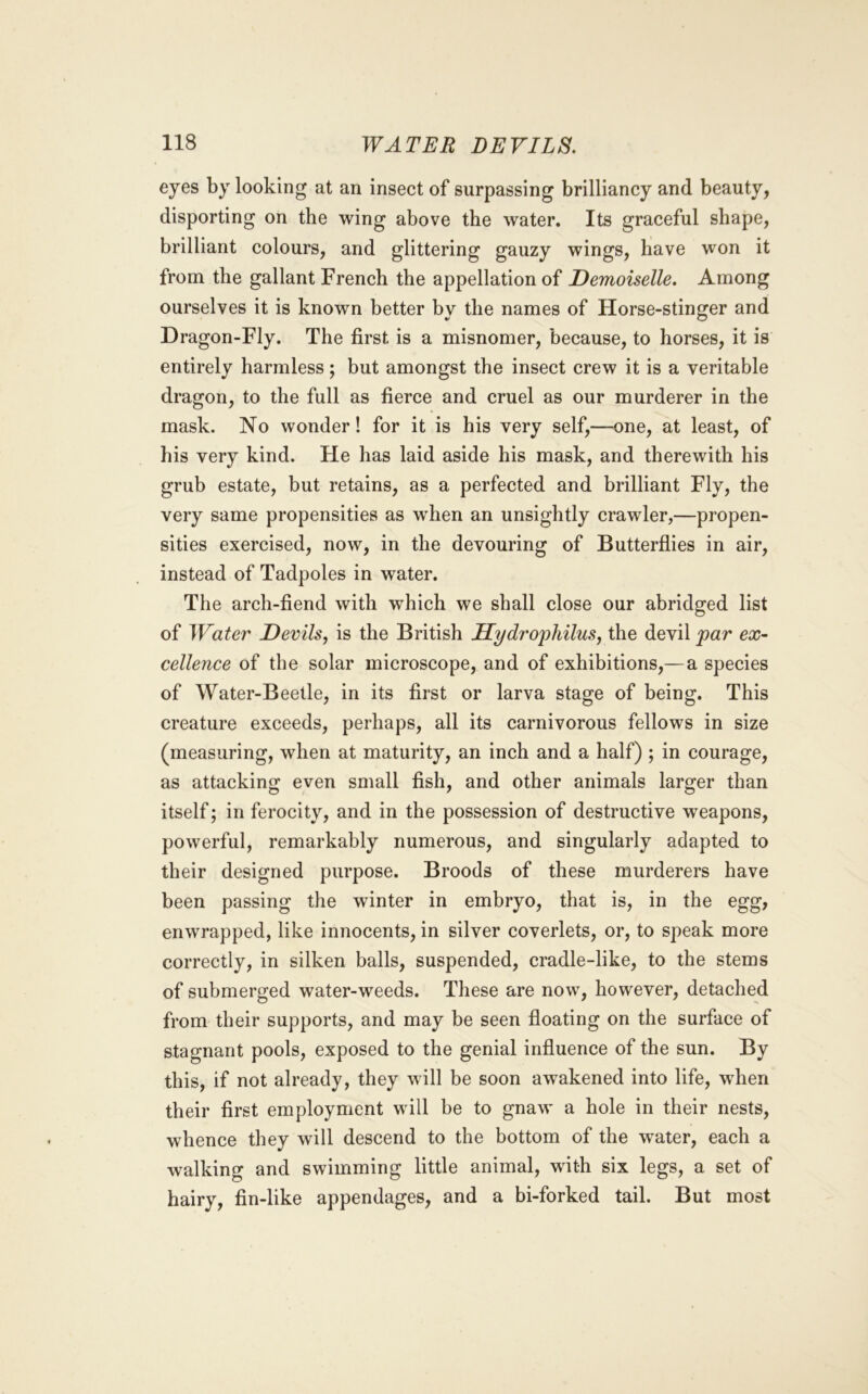 eyes by looking at an insect of surpassing brilliancy and beauty, disporting on the wing above the water. Its graceful shape, brilliant colours, and glittering gauzy wings, have won it from the gallant French the appellation of Demoiselle. Among ourselves it is known better by the names of Horse-stinger and Dragon-Fly. The first is a misnomer, because, to horses, it is entirely harmless; but amongst the insect crew it is a veritable dragon, to the full as fierce and cruel as our murderer in the mask. No wonder! for it is his very self,—one, at least, of his very kind. He has laid aside his mask, and therewith his grub estate, but retains, as a perfected and brilliant Fly, the very same propensities as when an unsightly crawler,—propen- sities exercised, now, in the devouring of Butterflies in air, instead of Tadpoles in water. The arch-fiend with which we shall close our abridged list of Water Devils, is the British Hydrophilus, the devil par ex- cellence of the solar microscope, and of exhibitions,—a species of Water-Beetle, in its first or larva stage of being. This creature exceeds, perhaps, all its carnivorous fellows in size (measuring, when at maturity, an inch and a half) ; in courage, as attacking even small fish, and other animals larger than itself; in ferocity, and in the possession of destructive weapons, powerful, remarkably numerous, and singularly adapted to their designed purpose. Broods of these murderers have been passing the winter in embryo, that is, in the egg, enwrapped, like innocents, in silver coverlets, or, to speak more correctly, in silken balls, suspended, cradle-like, to the stems of submerged water-weeds. These are now, however, detached from their supports, and may be seen floating on the surface of stagnant pools, exposed to the genial influence of the sun. By this, if not already, they will be soon awakened into life, when their first employment will be to gnaw a hole in their nests, whence they will descend to the bottom of the water, each a walking and swimming little animal, with six legs, a set of hairy, fin-like appendages, and a bi-forked tail. But most