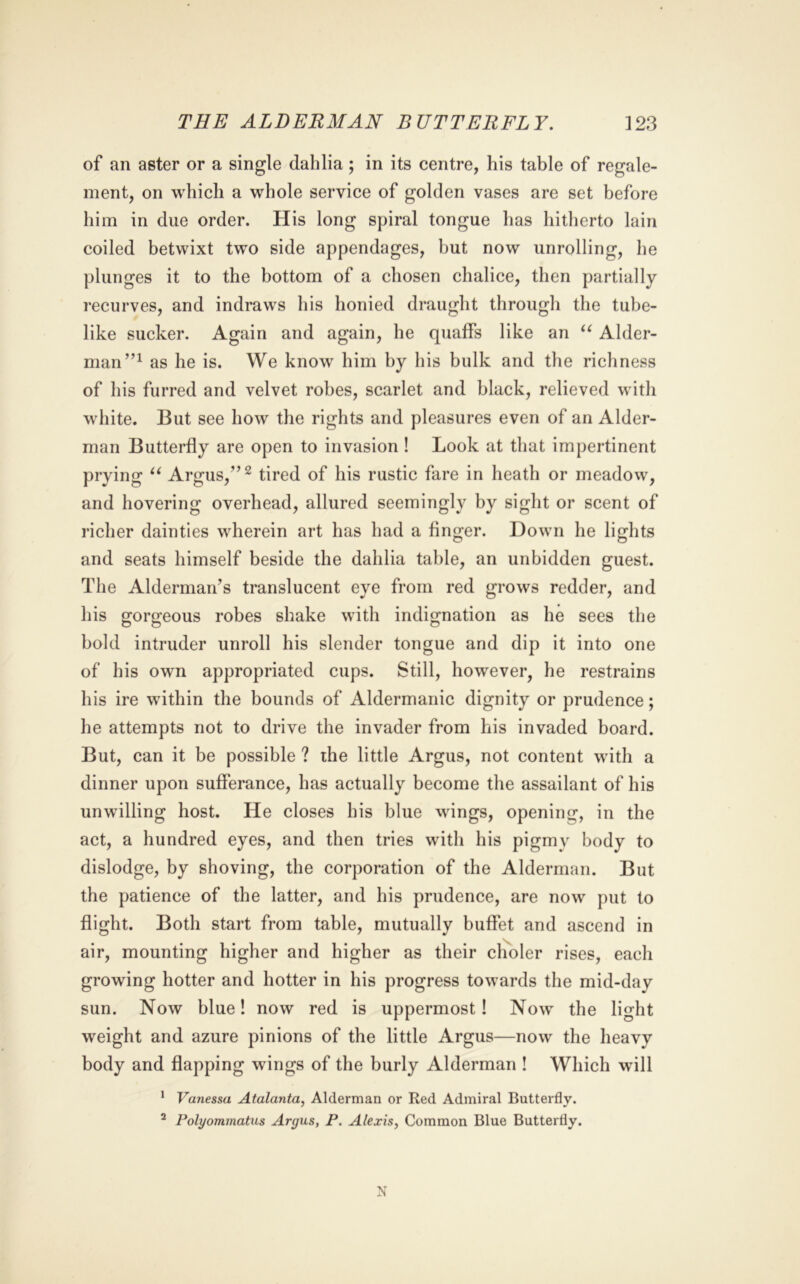 of an aster or a single dahlia; in its centre, his table of regale- ment, on which a whole service of golden vases are set before him in due order. His long spiral tongue has hitherto lain coiled betwixt two side appendages, hut now unrolling, he plunges it to the bottom of a chosen chalice, then partially recurves, and indraws his honied draught through the tube- like sucker. Again and again, he quaffs like an Aider- man”^ as he is. We know him by his bulk and the richness of his furred and velvet robes, scarlet and black, relieved with white. But see how the rights and pleasures even of an Aider- man Butterfly are open to invasion ! Look at that impertinent prying Argus,” ^ tired of his rustic fare in heath or meadow, and hovering overhead, allured seemingly by sight or scent of richer dainties wherein art has had a finger. Down he lights and seats himself beside the dahlia table, an unbidden guest. The Alderman^s translucent eye from red grows redder, and his gorgeous robes shake with indignation as he sees the hold intruder unroll his slender tongue and dip it into one of his own appropriated cups. Still, however, he restrains his ire within the bounds of Aldermanic dignity or prudence; he attempts not to drive the invader from his invaded board. But, can it be possible ? the little Argus, not content with a dinner upon sufferance, has actually become the assailant of his unwilling host. He closes his blue wings, opening, in the act, a hundred eyes, and then tries with his pigmy body to dislodge, by shoving, the corporation of the Alderman. But the patience of the latter, and his prudence, are now put to flight. Both start from table, mutually buffet and ascend in air, mounting higher and higher as their clibler rises, each growing hotter and hotter in his progress towards the mid-day sun. Now blue! now red is uppermost! Now the light weight and azure pinions of the little Argus—now the heavy body and flapping wings of the burly Alderman ! Which will ' Vanessa Atalanta, Alderman or Red Admiral Butterfly. ^ Polyommatus Argus, P. Alexis, Common Blue Butterfly. N