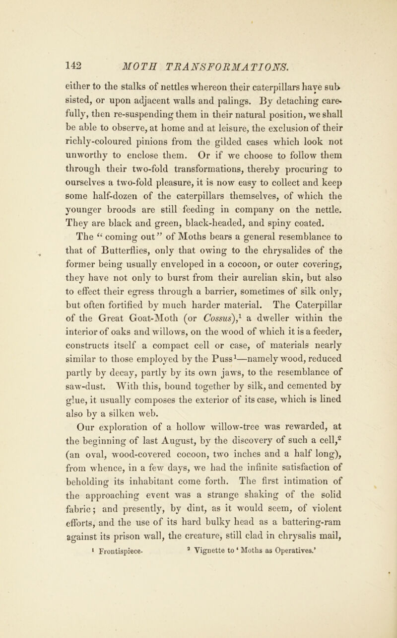 either to the stalks of nettles whereon their caterpillars haye sub sisted, or upon adjacent walls and palings. By detaching care- fully, then re-suspending them in their natural position, we shall be able to observe, at home and at leisure, the exclusion of their richly-coloured pinions from the gilded cases which look not unworthy to enclose them. Or if we choose to follow them through their two-fold transformations, thereby procuring to ourselves a two-fold pleasure, it is now easy to collect and keep some half-dozen of the caterpillars themselves, of which the younger broods are still feeding in company on the nettle. They are black and green, black-headed, and spiny coated. The coming out of Moths bears a general resemblance to that of Butterflies, only that owing to the chrysalides of the former being usually enveloped in a cocoon, or outer covering, they have not only to burst from their aurelian skin, but also to effect their egress through a barrier, sometimes of silk only, but often fortified by much harder material. The Caterpillar of the Great Goat-Moth (or Cossus),^ a dweller within the interior of oaks and willows, on the wood of which it is a feeder, constructs itself a compact cell or case, of materials nearly similar to those employed by the Puss^—namely wood, reduced partly by decay, partly by its own jaws, to the resemblance of saw-dust. With this, bound together by silk, and cemented by glue, it usually composes the exterior of its case, which is lined also bv a silken web. Our exploration of a hollow willow-tree w^as rewarded, at the beginning of last August, by the discovery of such a cell,^ (an oval, wood-covered cocoon, two inches and a half long), from whence, in a few days, we had the infinite satisfaction of beholding its inhabitant come forth. The first intimation of the approaching event was a strange shaking of the solid fabric; and presently, by dint, as it would seem, of violent efforts, and the use of its hard bulky head as a battering-ram against its prison wall, the creature, still clad in chrysalis mail, * Frontispiece. ^ Vignette to * Moths as Operatives.’
