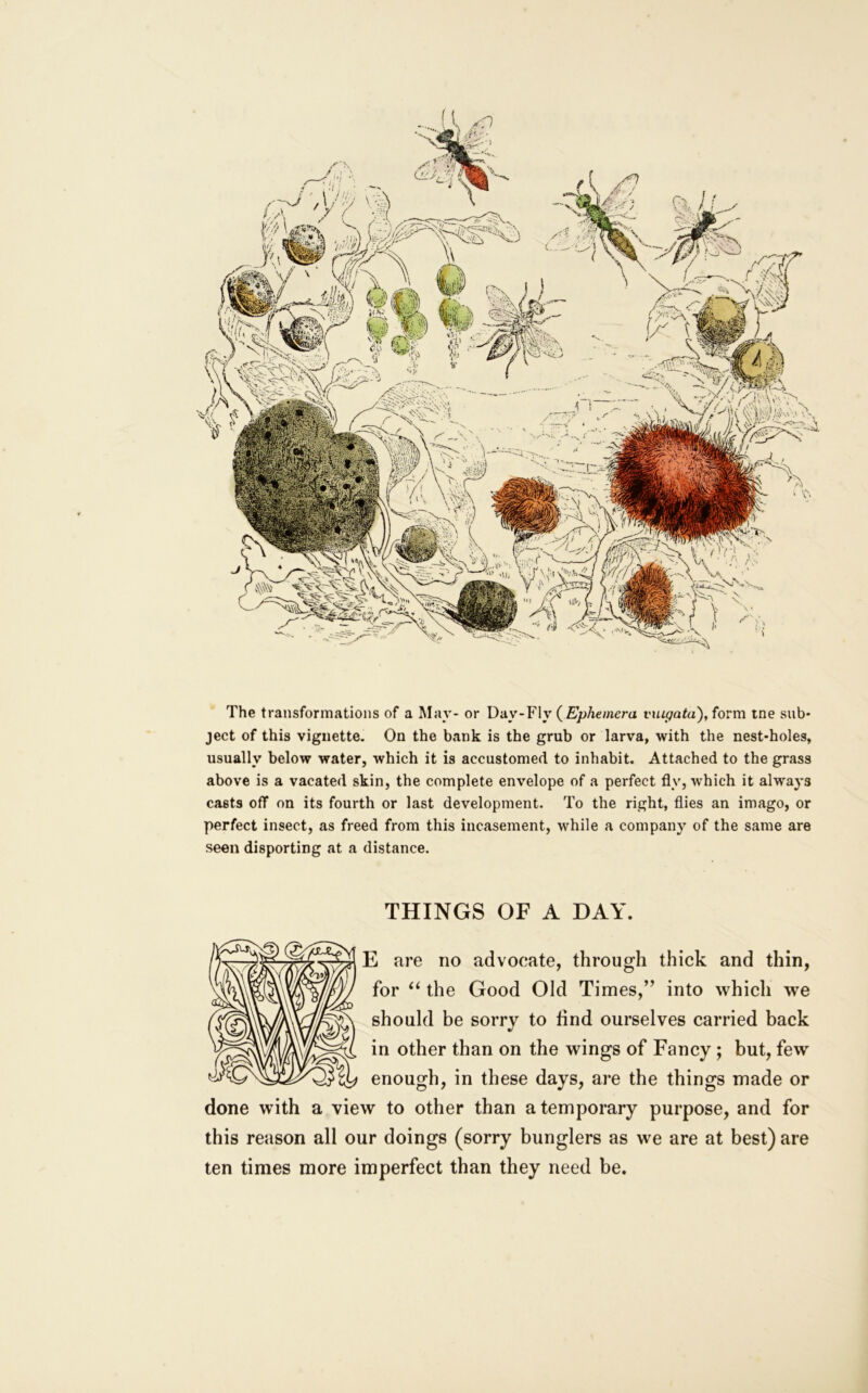 The transformations of a May- or Day-Fly (£/>/ie/«cm vuipata), form me sub- ject of this vignette. On the bank is the grub or larva, with the nest-holes, usually below water, which it is accustomed to inhabit. Attached to the grass above is a vacated skin, the complete envelope of a perfect fly, which it always casts off on its fourth or last development. To the right, flies an imago, or perfect insect, as freed from this incasement, while a company of the same are seen disporting at a distance. THINGS OF A DAY. E are no advocate, through thick and thin, for the Good Old Times,” into which we should be sorry to find ourselves carried back in other than on the wings of Fancy; but, few enough, in these days, are the things made or done with a view to other than a temporary purpose, and for this reason all our doings (sorry bunglers as we are at best) are ten times more imperfect than they need be.