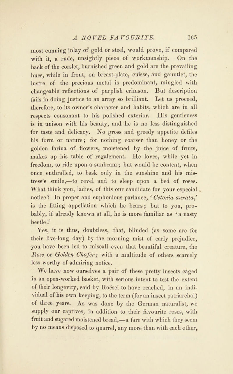 A NOVEL FAVOURITE. most cunning inlay of gold or steel, would prove, if compared with it, a rude, unsightly piece of workmanship. On the back of the corslet, burnished green and gold are the prevailing hues, while in front, on breast-plate, cuisse, and gauntlet, the lustre of the precious metal is predominant, mingled with changeable reflections of purplish crimson. But description fails in doing justice to an array so brilliant. Let us proceed, therefore, to its owner’s character and habits, wliich are in all respects consonant to his polished exterior. His gentleness is in unison with his beauty, and he is no less distinguished for taste and delicacy. No gross and greedy appetite defiles his form or nature; for nothing coarser than honey or the golden farina of flowers, moistened by the juice of fruits, makes up his table of regalement. He loves, while yet in freedom, to ride upon a sunbeam; but would be content, v/hen once enthralled, to bask only in the sunshine and his mis- tress’s smile,—to revel and to sleep upon a bed of roses. What think you, ladies, of this our candidate for your especial » notice? In proper and euphonious parlance, ^ Cetonia aurata^ is the fitting appellation which he bears; but to you, pro- bably, if already known at all, he is more familiar as ‘ a nasty beetle!’ Yes, it is thus, doubtless, that, blinded (as some are for their live-long day) by the morning mist of early prejudice, vou have been led to miscall even that beautiful creature, the Rose or Golden Chafer; with a multitude of others scarcely less worthy of admiring notice. We have now ourselves a pair of these pretty insects caged in an open-worked basket, with serious intent to test the extent of their longevity, said by Roesel to have reached, in an indi- vidual of his own keeping, to the term (for an insect patriarchal) of three years. As was done by the German naturalist, we supply our captives, in addition to their favourite roses, with fruit and sugared moistened bread,—a fare with which they seem by no means disposed to quarrel, any more than with each other,