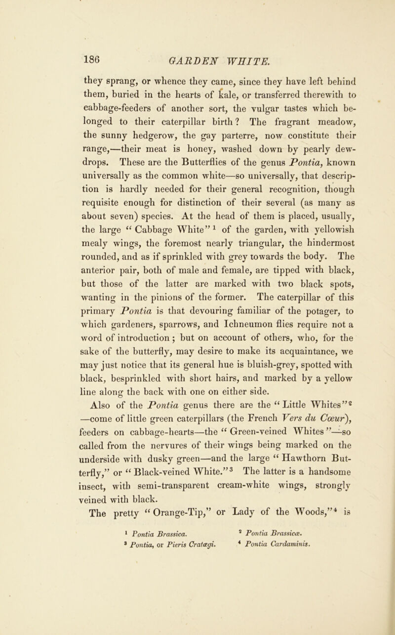 they sprang, or whence they came, since they have left behind them, buried in the hearts of tale, or transferred therewith to cabbage-feeders of another sort, the vulgar tastes which be- longed to their caterpillar birth ? The fragrant meadow, the sunny hedgerow, the gay parterre, now constitute their range,—their meat is honey, washed down by pearly dew- drops. These are the Butterflies of the genus Pontiaj known universally as the common white—so universally, that descrip- tion is hardly needed for their general recognition, though requisite enough for distinction of their several (as many as about seven) species. At the head of them is placed, usually, the large Cabbage White’’^ of the garden, with yellowish mealy wings, the foremost nearly triangular, the hindermost rounded, and as if sprinkled with grey towards the body. The anterior pair, both of male and female, are tipped with black, but those of the latter are marked with two black spots, wanting in the pinions of the former. The caterpillar of this primary Pontia is that devouring familiar of the potager, to which gardeners, sparrows, and Ichneumon flies require not a word of introduction; but on account of others, who, for the sake of the butterfly, may desire to make its acquaintance, we may just notice that its general hue is bluish-grey, spotted with black, besprinkled with short hairs, and marked by a yellow line along the back with one on either side. Also of the Pontia genus there are the ^‘Little Whites —come of little green caterpillars (the French Vers du Coeur\ feeders on cabbao;e-hearts—the Green-veined Whites so called from the nervures of their wings being marked on the underside with dusky green—and the large Hawthorn But- terfly,” or Black-veined White.”^ The latter is a handsome insect, with semi-transparent cream-white wings, strongly veined with black. The pretty Orange-Tip,” or Lady of the Woods,”^ is * Pontia Brassica. * Pontia^ or Pieris Cratagi. * Pontia BrassiccB. * Pontia Cardaminis.