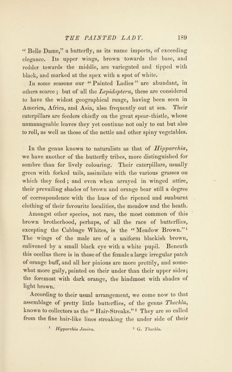 Belle Dame/’ a butterfly, as its name imports, of exceeding elegance. Its upper wings, brown towards the base, and redder towards the middle, are variegated and tipped with black, and marked at the apex with a spot of white. In some seasons our ‘‘ Painted Ladies ” are abundant, in others scarce ; but of all tlie Le'pido'ptera, these are considered to have the widest geographical range, having been seen in America, Africa, and Asia, also frequently out at sea. Their caterpillars are feeders chiefly on the great spear-thistle, whose unmanageable leaves they yet continue not only to eat but also to roll, as well as those of the nettle and other spiny vegetables. In the genus known to naturalists as that of Hipparchia, we have another of the butterfly tribes, more distinguished for sombre than for lively colouring. Their caterpillars, usually green with forked tails, assimilate with the various grasses on which they feed ; and even when arrayed in winged attire, their prevailing shades of brown and orange bear still a degree of correspondence with the hues of the ripened and sunburnt clothing of their favourite localities, the meadow and the heath. Amongst other species, not rare, the most common of this brown brotherhood, perhaps, of all the race of butterflies, excepting the Cabbage Whites, is the ‘‘Meadow Brown.”^ The wings of the male are of a uniform blackish brown, enlivened by a small black eye with a white pupil. Beneath this ocellus there is in those of the female a large irregular patch of orange buff, and all her pinions are more prettily, and some- what more gaily, painted on their under than their upper sides; the foremost with dark orange, the hindmost with shades of light brown. According to their usual arrangement, we come now to that assemblage of pretty little butterflies, of the genus Theckla, known to collectors as the “ Hair-Streaks.”^ They are so called from the fine hair-like lines streaking the under side of their 1 Ilipparchia Janira. 2 G. Thec/da.