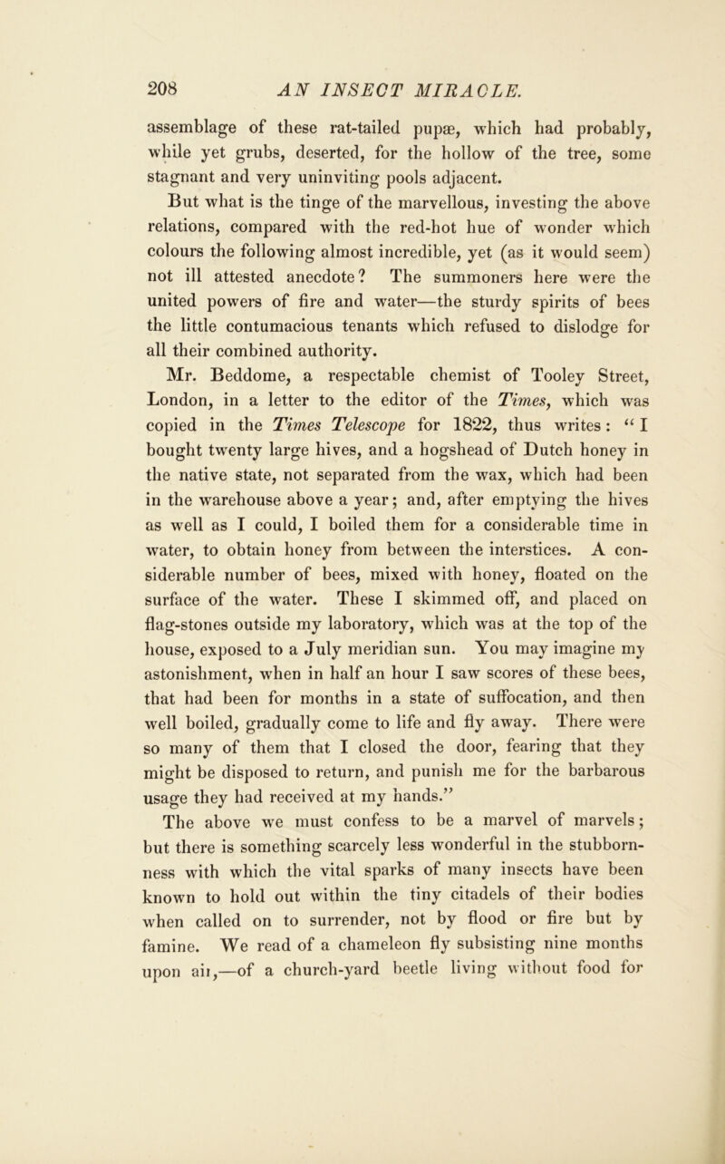 assemblage of these rat-tailed pupae, which had probably, while yet grubs, deserted, for the hollow of the tree, some stagnant and very uninviting pools adjacent. But what is the tinge of the marvellous, investing the above relations, compared with the red-hot hue of wonder which colours the following almost incredible, yet (as it would seem) not ill attested anecdote ? The summoners here were the united powers of fire and water—the sturdy spirits of bees the little contumacious tenants which refused to dislodge for all their combined authority. Mr. Beddome, a respectable chemist of Tooley Street, London, in a letter to the editor of the Times, which was copied in the Times Telescope for 1822, thus writes: “ I bought twenty large hives, and a hogshead of Dutch honey in the native state, not separated from the wax, which had been in the warehouse above a year; and, after emptying the hives as well as I could, I boiled them for a considerable time in water, to obtain honey from between the interstices. A con- siderable number of bees, mixed with honey, floated on the surface of the water. These I skimmed off, and placed on flag-stones outside my laboratory, which was at the top of the house, exposed to a July meridian sun. You may imagine my astonishment, when in half an hour I saw scores of these bees, that had been for months in a state of suffocation, and then well boiled, gradually come to life and fly away. There were so many of them that I closed the door, fearing that they might be disposed to return, and punish me for the barbarous usage they had received at my hands.’’ The above we must confess to be a marvel of marvels; but there is something scarcely less wonderful in the stubborn- ness with which the vital sparks of many insects have been known to hold out within the tiny citadels of their bodies when called on to surrender, not by flood or fire but by famine. We read of a chameleon fly subsisting nine months upon ail,—of a church-yard beetle living without food for