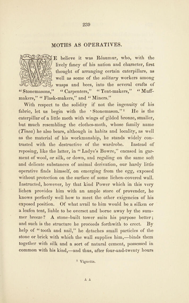 MOTHS AS OPERATIVES. E believe it was Reaumur, who, with the lively fancy of his nation and character, first thought of arranging certain caterpillars, as well as some of the solitary workers among wasps and bees, into the several crafts of ^^Stonemasons,’’ ^‘Carpenters,” “Tent-makers,” “Muff- makers,” “ Flask-makers,” and “ Miners.” With respect to the solidity if not the ingenuity of his fabric, let us begin with the ‘Stonemason.’’^ He is the caterpillar of a little moth with wings of gilded bronze, smaller, hut much resembling the clothes-moth, whose family name {Tinea') he also bears, although in habits and locality, as well as the material of his workmanship, he stands widely con- trasted with the destructive of the wardrobe. Instead of reposing, like the latter, in “ Ladye’s Bowre,” encased in gar- ment of wool, or silk, or down, and regaling on the same soft and delicate substances of animal derivation, our hardv little operative finds himself, on emerging from the egg, exposed without protection on the surface of some lichen-covered wall. Instructed, however, by that kind Power which in this very lichen provides him with an ample store of provender, he knows perfectly well how to meet the other exigencies of his exposed position. Of what avail to him would be a silken or a leafen tent, liable to be overset and borne away by the sum- mer breeze? A stone-built tower suits his purpose better; and such is the structure he proceeds forthwith to erect. By help of “tooth and nail,” he detaches small particles of the stone or brick with which the wall supplies him,—binds them together with silk and a sort of natural cement, possessed in common with his kind,—and thus, after four-and-twenty hours * Vignette. A A