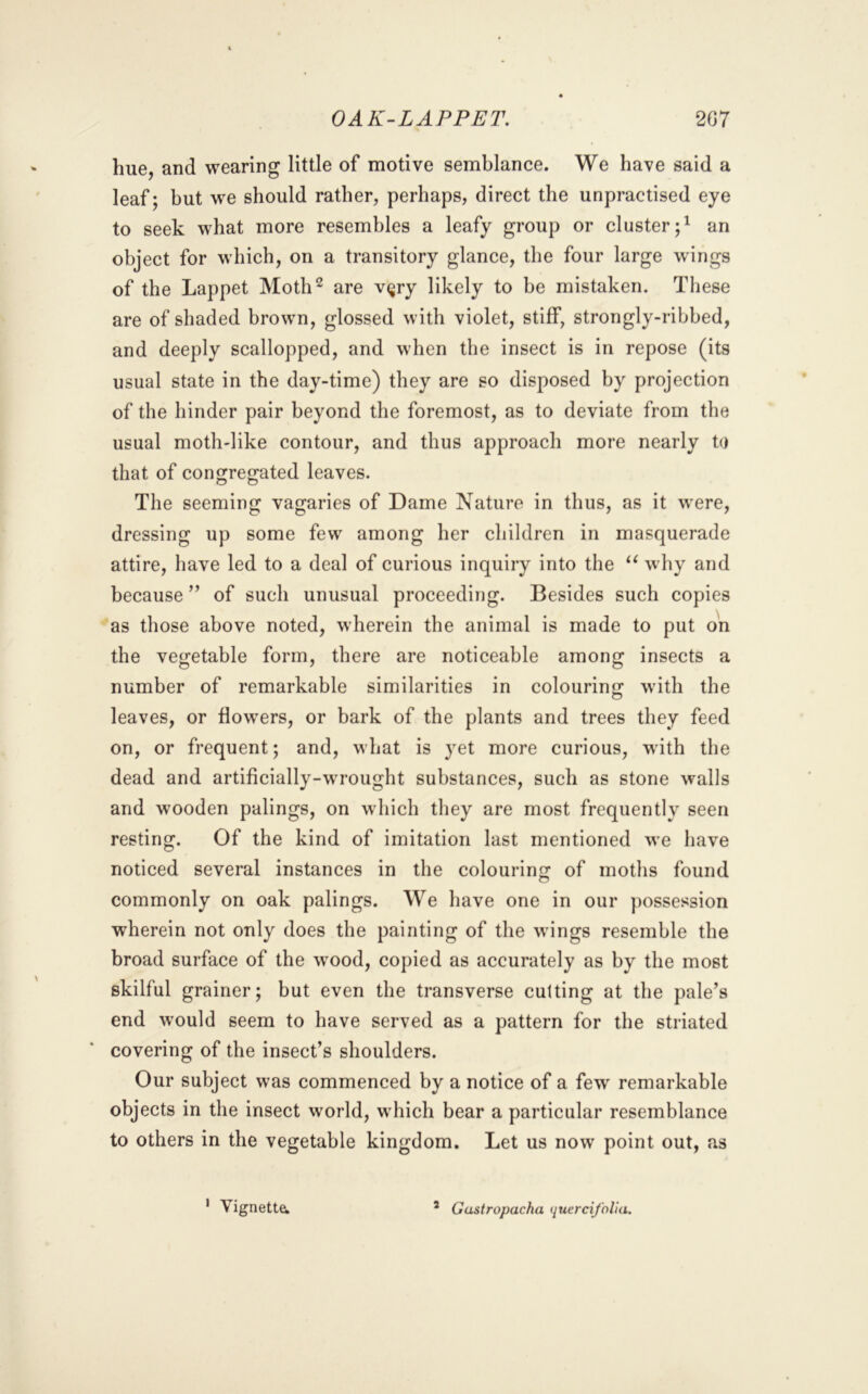 OAK-LAPPET. 2G7 hue, and wearing little of motive semblance. We have said a leaf; but we should rather, perhaps, direct the unpractised eye to seek what more resembles a leafy group or cluster;^ an object for which, on a transitory glance, the four large wings of the Lappet Moth^ are v^ry likely to be mistaken. These are of shaded brown, glossed with violet, stiff, strongly-ribbed, and deeply scallopped, and when the insect is in repose (its usual state in the day-time) they are so disposed by projection of the hinder pair beyond the foremost, as to deviate from the usual moth-like contour, and thus approach more nearly to that of congregated leaves. The seeming vagaries of Dame Nature in thus, as it were, dressing up some few among her children in masquerade attire, have led to a deal of curious inquiry into the why and because ” of such unusual proceeding. Besides such copies as those above noted, wherein the animal is made to put on the vegetable form, there are noticeable among insects a number of remarkable similarities in colouring wdth the leaves, or flowers, or bark of the plants and trees they feed on, or frequent; and, what is }^et more curious, with the dead and artificially-w'rought substances, such as stone walls and wooden palings, on which they are most frequently seen resting. Of the kind of imitation last mentioned we have noticed several instances in the colourine: of moths found o commonly on oak palings. We have one in our possession wherein not only does the painting of the wings resemble the broad surface of the w'ood, copied as accurately as by the most skilful grainer; but even the transverse cutting at the pale’s end would seem to have served as a pattern for the striated covering of the insect’s shoulders. Our subject was commenced by a notice of a few' remarkable objects in the insect world, w'hich bear a particular resemblance to others in the vegetable kingdom. Let us now point out, as