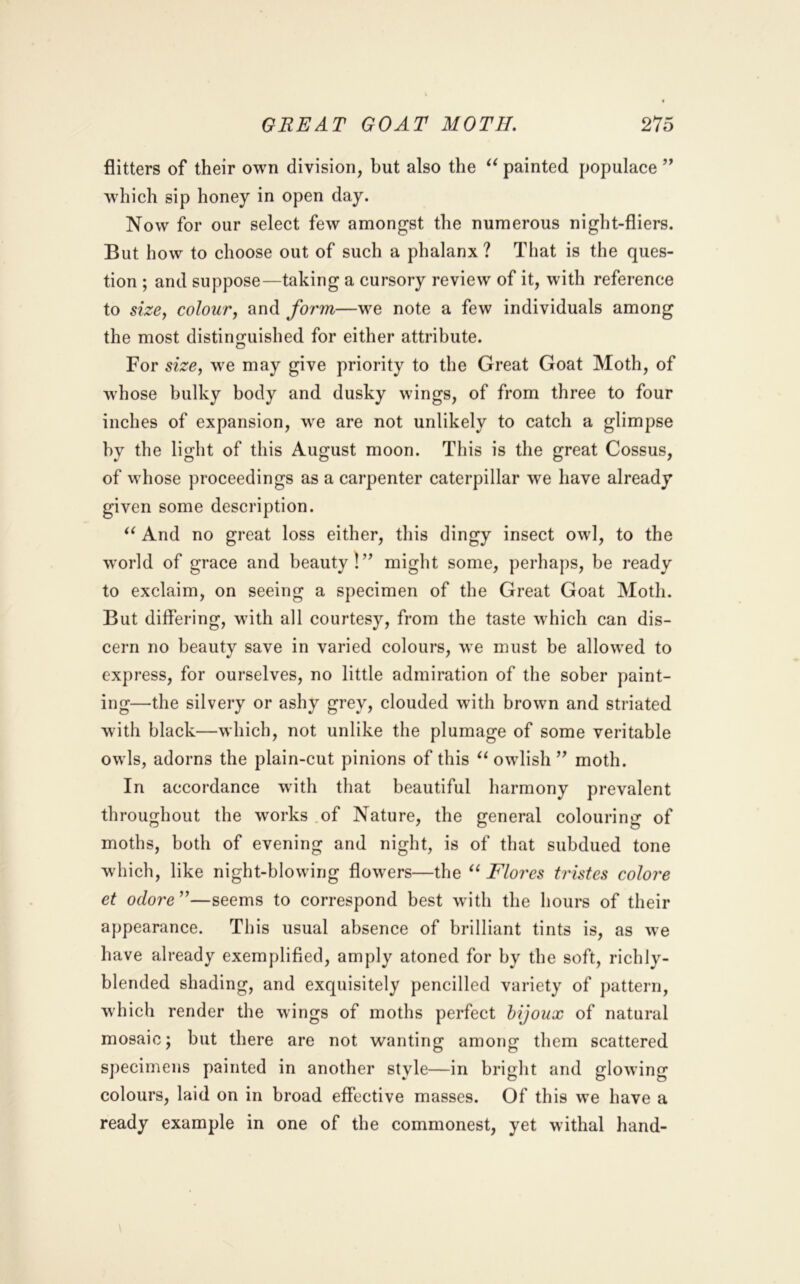 flitters of their own division, but also the painted populace ” wdiich sip honey in open day. Now for our select few amongst the numerous night-fliers. But how to choose out of such a phalanx ? That is the ques- tion ; and suppose—taking a cursory review of it, with reference to sizCj colour, and form—we note a few individuals among the most distinguished for either attribute. For size, w'e may give priority to the Great Goat Moth, of whose bulky body and dusky wings, of from three to four inches of expansion, w^e are not unlikely to catch a glimpse by the light of this August moon. This is the great Cossus, of whose proceedings as a carpenter caterpillar w^e have already given some description. And no great loss either, this dingy insect owl, to the world of grace and beauty!’^ might some, perhaps, be ready to exclaim, on seeing a specimen of the Great Goat Moth. But differing, with all courtesy, from the taste which can dis- cern no beauty save in varied colours, w'e must be allowed to express, for ourselves, no little admiration of the sober paint- ing—the silvery or ashy grey, clouded wdth brown and striated with black—which, not unlike the plumage of some veritable owls, adorns the plain-cut pinions of this ‘‘owlish’’ moth. In accordance with that beautiful harmony prevalent throughout the works .of Nature, the general colouring of moths, both of evening and night, is of that subdued tone which, like night-blowdng flow^ers—the “ Flores tristes colore et odore”—seems to correspond best wdth the hours of their appearance. This usual absence of brilliant tints is, as we have already exemplified, amply atoned for by the soft, richly- blended shading, and exquisitely pencilled variety of pattern, which render the wings of moths perfect bijoux of natural mosaic; but there are not wanting among them scattered specimens painted in another style—in bright and glowing colours, laid on in broad effective masses. Of this w’e have a ready example in one of the commonest, yet withal hand-