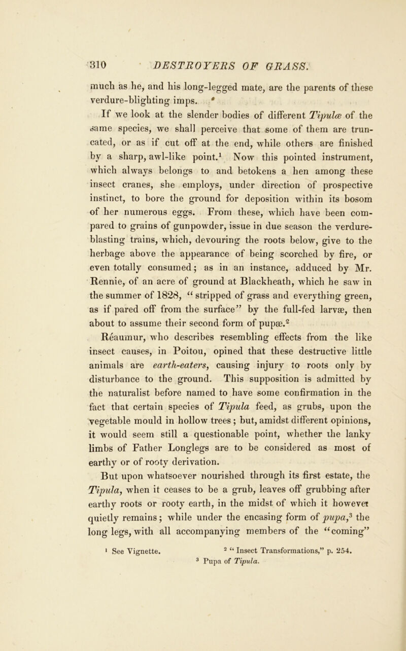 ‘310 DESTROYERS OF GRASS. much as he, and his long-legged mate, are the parents of these verdure-blighting imps. * If we look at the slender bodies of different Tipulce of the ►same species, we shall perceive that some of them are trun- cated, or as if cut off at the end, while others are finished by a sharp, awl-like point.^ Now this pointed instrument, which always belongs to and betokens a hen among these insect cranes, she employs, under direction of prospective instinct, to bore tbe ground for deposition within its bosom of her numerous eggs. From these, which have been com- pared to grains of gunpowder, issue in due season the verdure- blasting trains, which, devouring the roots below, give to the herbage above the appearance of being scorched by fire, or even totally consumed; as in an instance, adduced by Mr. Rennie, of an acre of ground at Blackheath, which he saw in the summer of 1828, stripped of grass and everything green, as if pared off from the surface’’ by the full-fed larvae, then about to assume their second form of pupae.^ Reaumur, who describes resembling effects from the like insect causes, in Poitou, opined that these destructive little animals are earth-eaters, causing injury to roots only by disturbance to the ground. This supposition is admitted by the naturalist before named to have some confirmation in the fact that certain species of Tipula feed, as grubs, upon the vegetable mould in hollow trees ; but, amidst different opinions, it would seem still a questionable point, whether ihe lanky limbs of Father Longlegs are to be considered as most of earthy or of rooty derivation. But upon whatsoever nourished through its first estate, the TipuJa, when it ceases to be a grub, leaves off grubbing after earthy roots or rooty earth, in the midst of which it howevet quietly remains; while under the encasing form of pupa^ the long legs, with all accompanying members of the coming” ^ Pupa of Tipula.