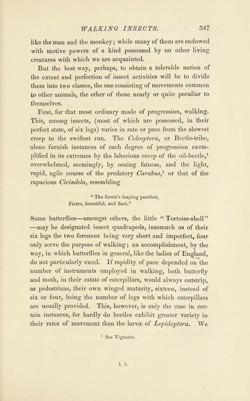 like the man and the monkey; while many of them are endowed with motive powers of a kind possessed by no other living creatures with which we are acquainted. But the best way, perhaps, to obtain a tolerable notion of the extent and perfection of insect activities will be to divide them into two classes, the one consisting of movements common to other animals, the other of those nearly or quite peculiar to themselves. First, for that most ordinary mode of progression, walking. This, among insects, (most of w^hich are possessed, in their perfect state, of six legs) varies in rate or pace from the slowest creep to the swiftest run. The Coleoptera, or Beetle-tribe, alone furnish instances of each degree of progression exem- plified in its extremes by the laborious creep of the oil-beetle,^ overwhelmed, seemingly, by oozing fatness, and the light, rapid, agile course of the predatory Carahus,^ or that of the rapacious Cicindelaj resembling “ The forest’s leaping panther, Fierce, beautiful, and fleet.” Some butterflies—amongst others, the little Tortoise-shell’^ —may be designated insect quadrupeds, inasmuch as of their six legs the two foremost being very short and imperfect, four only serve the purpose of walking; an accomplishment, by the way, in which butterflies in general, like the ladies of England, do not particularly excel. If rapidity of pace depended on the number of instruments employed in walking, both butterfly and moth, in their estate of caterpillars, would always outstrip, as pedestrians, their own winged maturity, sixteen, instead of six or four, being the number of legs with wdiich caterpillars are usually provided. This, however, is only the case in cer- tain instances, for hardly do beetles exhibit greater variety in their rates of movement than the larva) of Lepidoptera. We ' See Vignette. L L