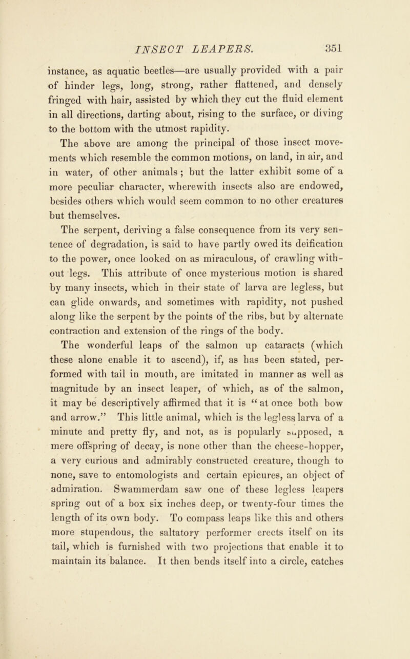 instance, as aquatic beetles—are usually provided with a pair of hinder legs, long, strong, rather flattened, and densely fringed with hair, assisted by which they cut the fluid element in all directions, darting about, rising to the surface, or diving to the bottom with the utmost rapidity. The above are among the principal of those insect move- ments which resemble the common motions, on land, in air, and in water, of other animals ; but the latter exhibit some of a more peculiar character, wherewith insects also are endowed, besides others which would seem common to no other creatures but themselves. The serpent, deriving a false consequence from its very sen- tence of degradation, is said to have partly owed its deification to the power, once looked on as miraculous, of crawling with- out legs. This attribute of once mysterious motion is shared by many insects, which in their state of larva are legless, but can glide onwards, and sometimes with rapidity, not j)ushed along like the serpent by the points of the ribs, but by alternate contraction and extension of the rings of the body. The wonderful leaps of the salmon up cataracts (which these alone enable it to ascend), if, as has been stated, per- formed with tail in mouth, are imitated in manner as well as magnitude by an insect leaper, of which, as of the salmon, it may be descriptively afiirmed that it is ‘^at once both bow and arrow.” This little animal, which is the legless larva of a minute and pretty fly, and not, as is popularly &u])posed, a mere offspring of decay, is none other than the cheese-hopper, a very curious and admirably constructed creature, though to none, save to entomologists and certain epicures, an object of admiration. Swammerdam saw one of these legless leapers spring out of a box six inches deep, or twenty-four times the length of its own body. To compass leaps like this and others more stupendous, the saltatory performer erects itself on its tail, which is furnished with two projections that enable it to maintain its balance. It then bends itself into a circle, catches