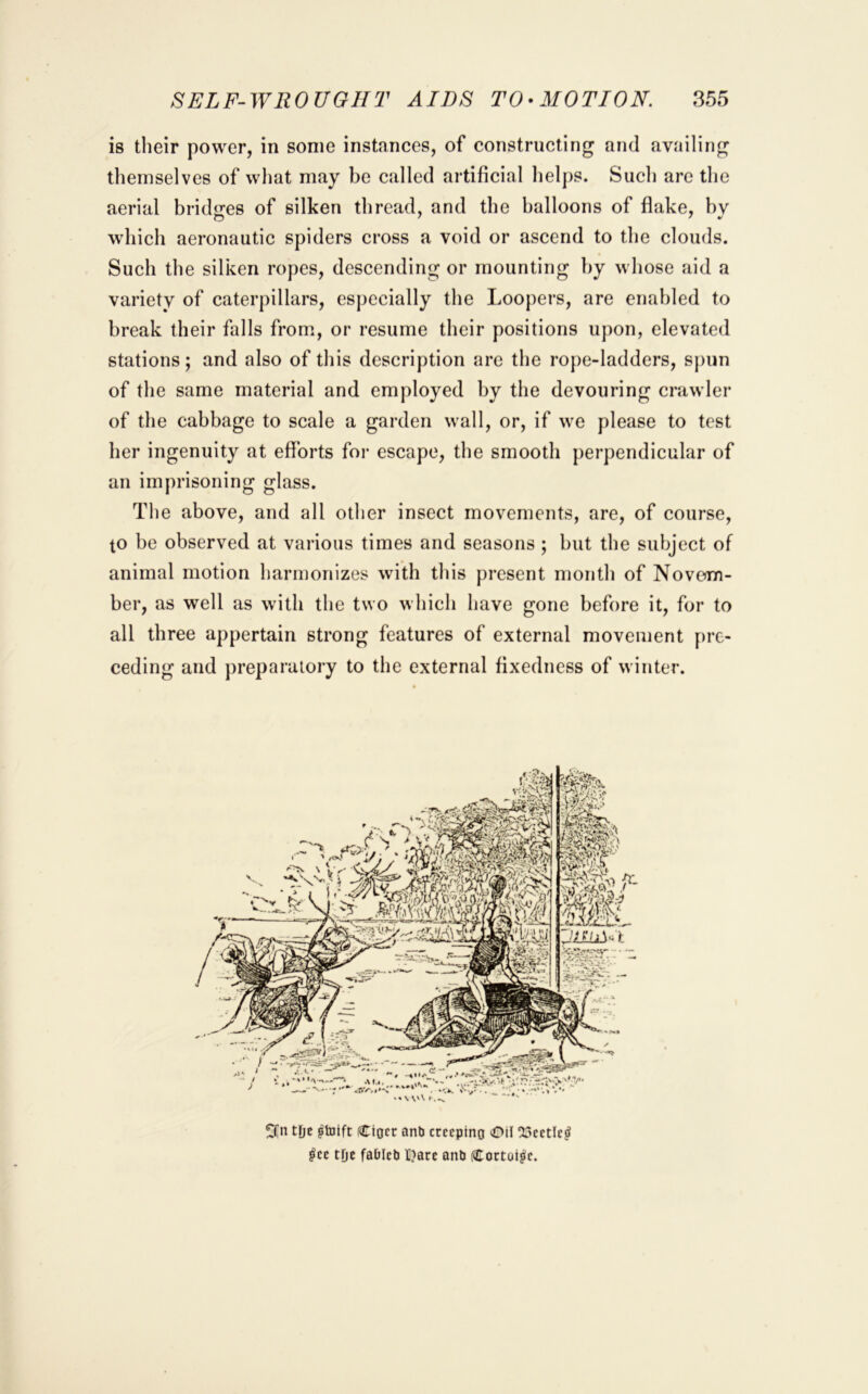 is their power, in some instances, of constructing and availing themselves of what may be called artificial helps. Such are the aerial bridires of silken thread, and the balloons of fiake, hv which aeronautic spiders cross a void or ascend to the clouds. Such the silken ropes, descending or mounting by whose aid a variety of caterpillars, especially the Loopers, are eiiahled to break their falls from, or resume their positions upon, elevated stations; and also of this description are the rope-ladders, spun of the same material and employed by the devouring crawler of the cabbage to scale a garden wall, or, if we please to test her ingenuity at efforts foi* escape, the smooth perpendicular of an imprisoning glass. The above, and all other insect movements, are, of course, to be observed at various times and seasons ; but the subject of animal motion harmonizes with this present month of Novema- ber, as well as with the two which have gone before it, for to all three appertain strong features of external movement pre- ceding and preparatory to the external fixedness of winter. 5Cn tijz ^tDift (Ciocr ant crecpino Oil X>cctlc^ ^ce tDe faOlct t}arc ant (Coctoijic.