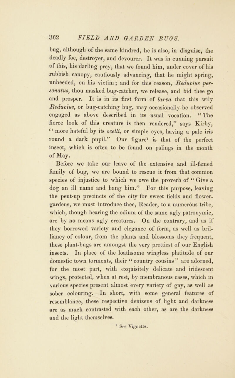 bug, although of the same kindred, he is also, in disguise, the deadly foe, destroyer, and devourer. It was in cunning pursuit of this, his darling prey, that we found him, under cover of his rubbish canopy, cautiously advancing, that he might spring, unheeded, on his victim; and for this reason, Reduvius per- sonatus, thou masked bug-catcher, we release, and bid thee go and prosper. It is in its first form of larva that this wily Reduvius, or bug-catching bug, may occasionally be observed engaged as above described in its usual vocation. The fierce look of this creature is then rendered,’’ says Kirby, more hateful by its ocelli, or simple eyes, having a pale iris round a dark pupil.” Our figure^ is that of the perfect insect, which is often to be found on palings in the month of May. Before we take our leave of the extensive and ill-famed family of bug, we are bound to rescue it from that common species of injustice to which we owe the proverb of ‘‘ Give a dog an ill name and hang him.” For this purpose, leaving the pent-up precincts of the city for sweet fields and flower- gardens, we must introduce thee. Reader, to a numerous tribe, which, though bearing the odium of the same ugly patronymic, are by no means ugly creatures. On the contrary, and as if they borrowed variety and elegance of form, as well as bril- liancy of colour, from the plants and blossoms they frequent, these plant-bugs are amongst the very prettiest of our English insects. In place of the loathsome wingless platitude of our domestic town torments, their country cousins ” are adorned, for the most part, with exquisitely delicate and iridescent wings, protected, when at rest, by membranous cases, which in various species present almost every variety of gay, as well as sober colouring. In short, with some general features of resemblance, these respective denizens of light and darkness are as much contrasted wdth each other, as are the darkness and the light themselves. * See Vignette.