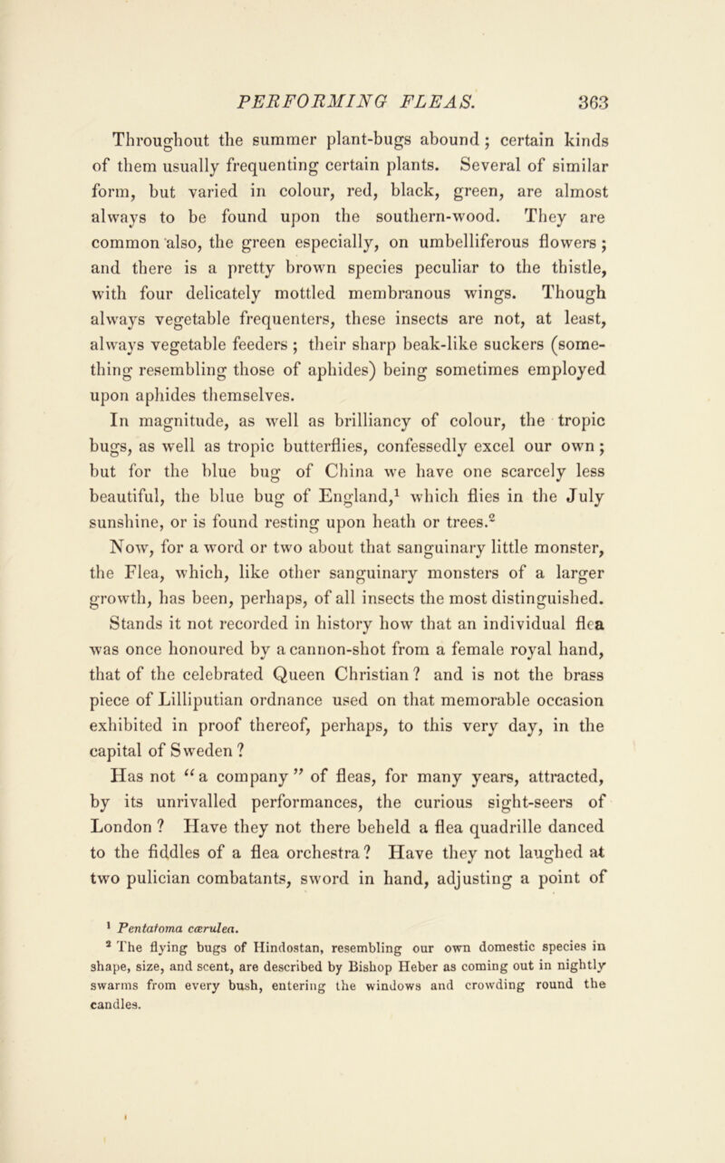 Throughout the summer plant-bugs abound ; certain kinds of them usually frequenting certain plants. Several of similar form, but varied in colour, red, black, green, are almost always to be found upon the southern-wood. They are common ‘also, the green especially, on umbelliferous flowers ; and there is a pretty brown species peculiar to the thistle, with four delicately mottled membranous wings. Though always vegetable frequenters, these insects are not, at least, always vegetable feeders ; their sharp beak-like suckers (some- thing resembling those of aphides) being sometimes employed upon aphides themselves. In magnitude, as well as brilliancy of colour, the tropic bugs, as well as tropic butterflies, confessedly excel our own ; but for the blue bug of China we have one scarcely less beautiful, the blue bug of England,^ which flies in the July sunshine, or is found resting upon heath or trees.^ Now', for a w'ord or two about that sanguinary little monster, the Flea, which, like other sanguinary monsters of a larger growth, has been, perhaps, of all insects the most distinguished. Stands it not recorded in history how that an individual flea was once honoured by a cannon-shot from a female royal hand, that of the celebrated Queen Christian? and is not the brass piece of Lilliputian ordnance used on that memorable occasion exhibited in proof thereof, perhaps, to this very day, in the capital of Sweden ? Has not ^^a company’^ of fleas, for many years, attracted, by its unrivalled performances, the curious sight-seers of London ? Have they not there beheld a flea quadrille danced to the fiddles of a flea orchestra? Have they not laughed at two pulician combatants, sword in hand, adjusting a point of * Pentafoma ccerulea. * The flying bugs of Hindostan, resembling our own domestic species in shape, size, and scent, are described by Bishop Heber as coming out in nightly swarms from every bush, entering the windows and crowding round the candles. I