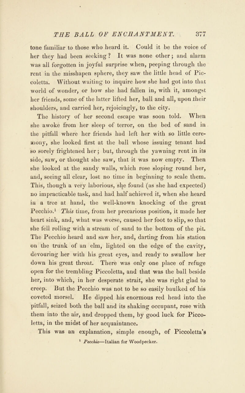 tone familiar to those who heard it. Could it be the voice of her they had been seeking ? It was none other; and alarm was all forgotten in joyful surprise when, peeping through the rent in the misshapen sphere, they saw the little head of Pic- coletta. Without waiting to inquire liow she had got into that world of wonder, or how she had fallen in, with it, amongst her friends, some of the latter lifted her, ball and all, upon iheir shoulders, and carried her, rejoicingly, to the city. The history of her second escape was soon told. When she awoke from her sleep of terror, on the bed of sand in the pitfall where her friends had left her with so little cere- mony, she looked first at the ball whose issuing tenant had so sorely frightened her; but, through the yawning rent in its side, saw, or thought she saw, that it was now empty. Then she looked at the sandy walls, which rose sloping round her, and, seeing all clear, lost no time in beginning to scale them. This, though a very laborious, she found (as she had expected) no impracticable task, and had half achieved it, when she heard in a tree at hand, the well-known knocking of the great Pecchio.^ This time, from her precarious position, it made her heart sink, and, what was worse, caused her foot to slip, so that she fell rolling with a stream of sand to the bottom of the pit. The Pecchio heard and saw her, and, darting from his station on the trunk of an elm, lighted on the edge of the cavity, devouring her with his great eyes, and ready to swallow her down his great throat. There was only one place of refuge open for the trembling Piccoletta, and that was the ball beside her, into which, in her desperate strait, she was right glad to creep. But the Pecchio was not to be so easily baulked of his coveted morsel. He dipped his enormous red head into the pitfall, seized both the ball and its shaking occupant, rose with them into the air, and dropped them, by good luck for Picco- letta, in the midst of her acquaintance. This was an explanation, simple enough, of Piccoletta’s ‘ Fecchio—Italian for Woodpecker.