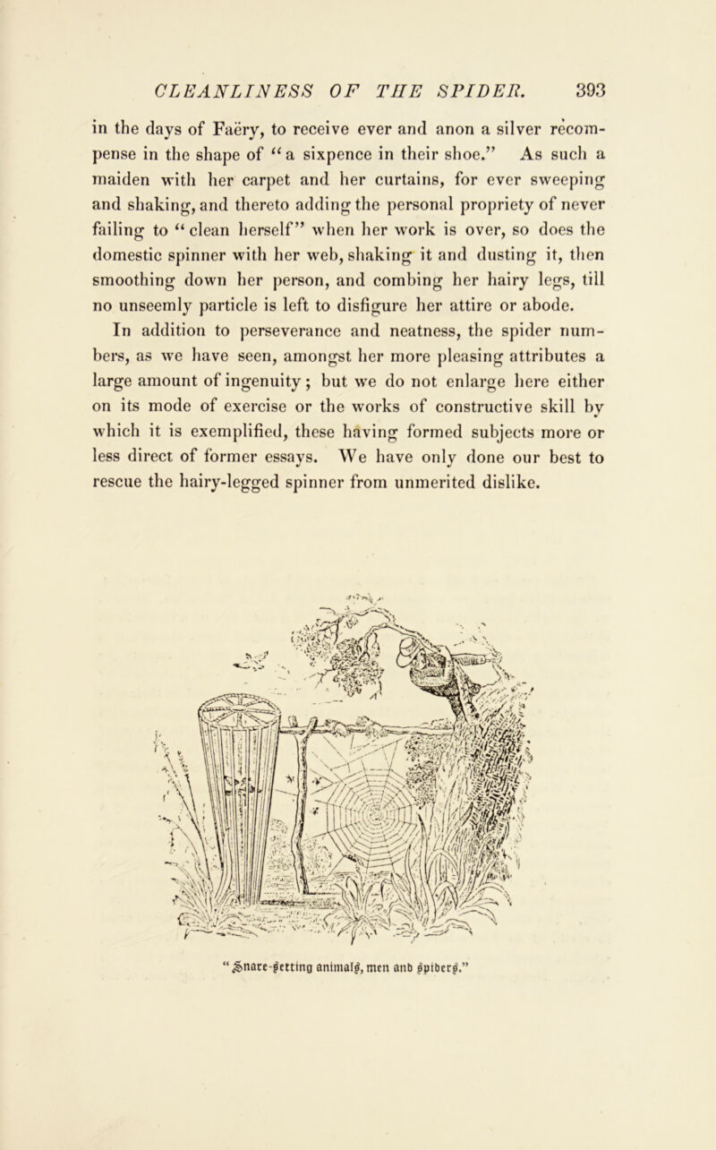 in the days of Faery, to receive ever and anon a silver recom- pense in the shape of a sixpence in their shoe.” As such a maiden with her carpet and her curtains, for ever sweeping and shaking, and thereto adding the personal propriety of never failing to clean herself” when her work is over, so does the domestic spinner with her web, shaking it and dusting it, then smoothing down her person, and combing her hairy legs, till no unseemly particle is left to disfigure her attire or abode. In addition to perseverance and neatness, the spider num- bers, as we have seen, amongst her more pleasing attributes a large amount of ingenuity; but we do not enlarge here either on its mode of exercise or the works of constructive skill bv which it is exemplified, these having formed subjects more or less direct of former essays. We have only done our best to rescue the hairy-legged spinner from unmerited dislike. “^nare-fettino animal^, men anb ^piber^.”