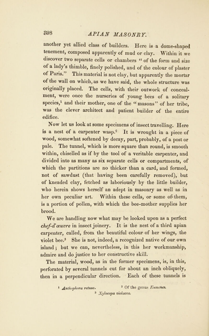 898 APIAN MASONRY. another yet allied class of builders. Here is a dome-shaped tenement, composed apparently of mud or clay. Within it we discover two separate cells or chambers of the form and size of a lady’s thimble, finely polished, and of the colour of plaster of Paris.” This material is not clay, but apparently the mortar of the wall on which, as we have said, the whole structure was originally placed. The cells, with their outwork of conceal- ment, were once the nurseries of young bees of a solitary species,^ and their mother, one of the masons” of her tribe, was the clever architect and patient builder of the entire edifice. Now let us look at some specimens of insect travelling. Here is a nest of a carpenter wasp. It is wrought in a piece of wood, somewhat softened by decay, part, probably, of a post or pale. The tunnel, which is more square than round, is smooth within, chiselled as if by the tool of a veritable carpenter, and divided into as many as six separate cells or compartments, of which the partitions are no thicker than a card, and formed, not of sawdust (that having been carefully removed), but of kneaded clay, fetched as laboriously by the little builder, who herein shows herself an adept in masonry as well as in her own peculiar art. Within these cells, or some of them, is a portion of pollen, with which the bee-mother supplies her brood. We are handling now what may be looked upon as a perfect chef-d'oeuvre in insect joinery. It is the nest of a third apian carpenter, called, from the beautiful colour of her wings, the violet bee.^ She is not, indeed, a recognized native of our own island; but we can, nevertheless, in this her workmanship, admire and do justice to her constructive skill. The material, wood, as in the former specimens, is, in this, perforated by several tunnels cut for about an inch obliquely, then in a perpendicular direction. Each of these tunnels is ‘ Anthophnra retusa. ^ Of the genus Eumanes. ^ Xylocopa violacea.