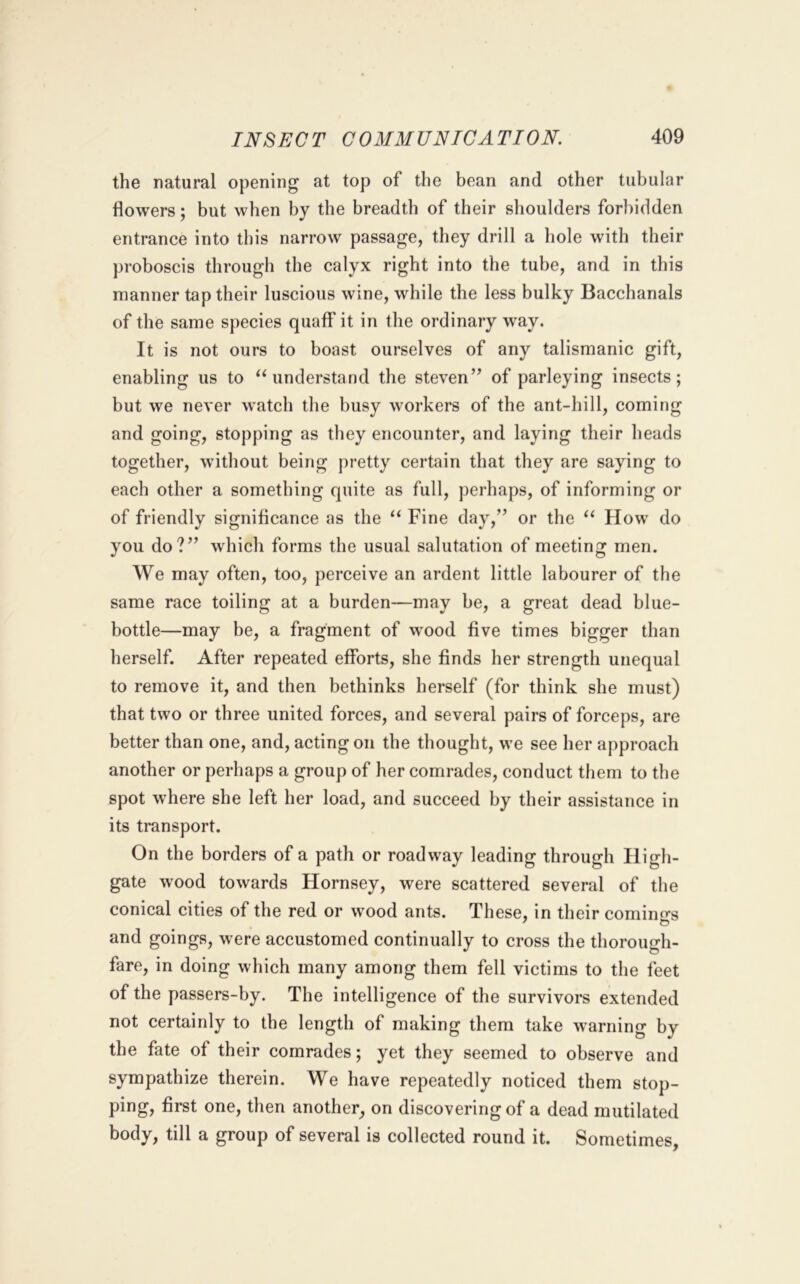 the natural opening at top of the bean and other tubular flowers; but when by the breadth of their slioulders forbidden entrance into this narrow passage, they drill a hole with their proboscis through the calyx right into the tube, and in this manner tap their luscious wine, while the less bulky Bacchanals of the same species quaff it in the ordinary way. It is not ours to boast ourselves of any talismanic gift, enabling us to understand the steven” of parleying insects; but we never watch the busy workers of the ant-hill, coming and going, stopping as they encounter, and laying their heads together, without being pretty certain that they are saying to each other a something quite as full, perhaps, of informing or of friendly significance as the “ Fine day,’’ or the How do you do?” which forms the usual salutation of meeting men. We may often, too, perceive an ardent little labourer of the same race toiling at a burden—may be, a great dead blue- bottle—may be, a fragment of wood five times bigger than herself. After repeated efforts, she finds her strength unequal to remove it, and then bethinks herself (for think she must) that two or three united forces, and several pairs of forceps, are better than one, and, acting on the thought, we see her approach another or perhaps a group of her comrades, conduct them to the spot where she left her load, and succeed by their assistance in its transport. On the borders of a path or roadway leading through High- gate wood towards Hornsey, were scattered several of the conical cities of the red or wood ants. These, in their comin<>*s and goings, were accustomed continually to cross the thorough- fare, in doing which many among them fell victims to the feet of the passers-by. The intelligence of the survivors extended not certainly to the length of making them take warning by the fate of their comrades; yet they seemed to observe and sympathize therein. We have repeatedly noticed them stop- ping, first one, then another^ on discovering of a dead mutilated body, till a group of several is collected round it. Sometimes,