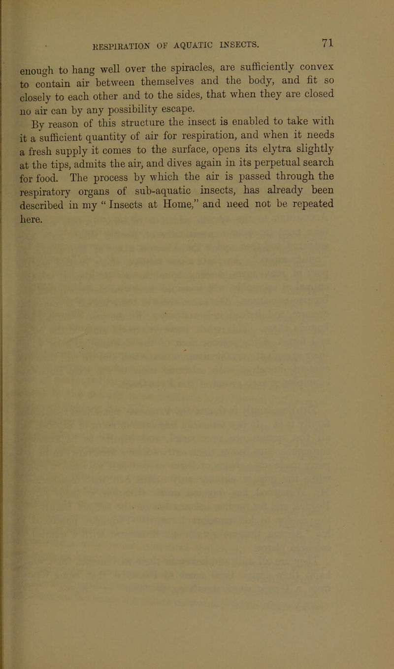 KESP1RATI0N OF AQUATIC INSECTS. enough to hang well over the spiracles, are sufficiently convex to contain air between themselves and the body, and fit so closely to each other and to the sides, that when they are closed no air can by any possibility escape. By reason of this structure the insect is enabled to take with it a sufficient quantity of air for respiration, and when it needs a fresh supply it comes to the surface, opens its elytra slightly at the tips, admits the air, and dives again in its perpetual search for food. The process by which the air is passed through the respiratory organs of sub-aquatic insects, has already been described in my “ Insects at Home,” and need not be repeated here.