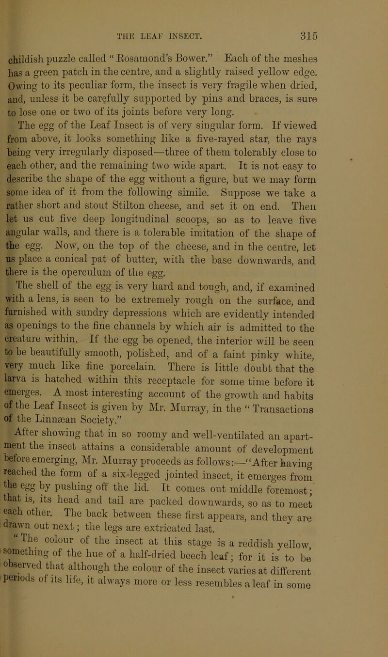 childish puzzle called “ Rosamond’s Bower.” Each of the meshes has a green patch in the centre, and a slightly raised yellow edge. Owing to its peculiar form, the insect is very fragile when dried, and, unless it be carefully supported by pins and braces, is sure to lose one or two of its joints before very long. The egg of the Leaf Insect is of very singular form. If viewed from above, it looks something like a five-rayed star, the rays being very irregularly disposed—three of them tolerably close to each other, and the remaining two wide apart. It is not easy to describe the shape of the egg without a figure, but we may form some idea of it from the following simile. Suppose w’e take a rather short and stout Stilton cheese, and set it on end. Then let us cut five deep longitudinal scoops, so as to leave five angular walls, and there is a tolerable imitation of the shape of the egg. Now, on the top of the cheese, and in the centre, let us place a conical pat of butter, with the base downwards, and there is the operculum of the egg. The shell of the egg is very hard and tough, and, if examined with a lens, is seen to be extremely rough on the surface, and furnished with sundry depressions wThich are evidently intended as openings to the fine channels by which air is admitted to the creature within. If the egg be opened, the interior will be seen to be beautifully smooth, polished, and of a faint pinky white, very much like fine porcelain. There is little doubt that the larva is hatched within this receptacle for some time before it emerges A most interesting account of the growth and habits of the Leaf Insect is given by Mr. Murray, in the “ Transactions of the Linnsean Society.” After showing that in so roomy and well-ventilated an apart- ment the insect attains a considerable amount of development before emerging, Mr. Murray proceeds as follows:—“After having reached the form of a six-legged jointed insect, it emerges from the egg by pushing off the lid. It comes out middle foremost; that is, its head and tail are packed downwards, so as to meet each other. The back between these first appears, and they are drawn out next; the legs are extricated last. s “ The colour of the insect at this stage is a reddish yellow something of the hue of a half-dried beech leaf; for it is to be observed that although the colour of the insect varies at different periods of its life, it always more or less resembles a leaf in some