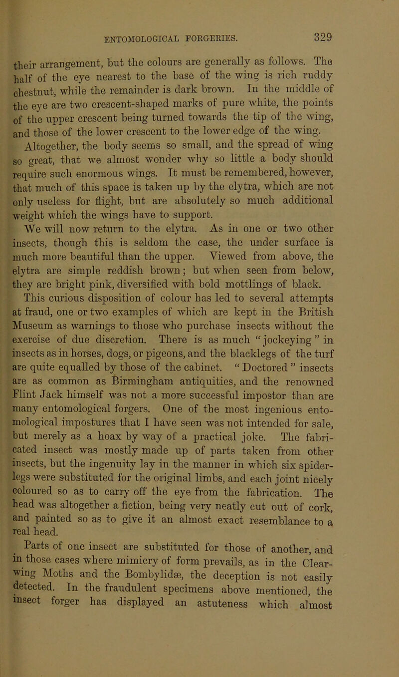 their arrangement, but the colours are generally as follows. The half of the eye nearest to the base of the wing is rich ruddy chestnut, while the remainder is dark brown. In the middle of the eye are two crescent-shaped marks of pure white, the points of the upper crescent being turned towards the tip of the wing, and those of the lower crescent to the lower edge of the wing. Altogether, the body seems so small, and the spread of wing so great, that we almost wonder why so little a body should require such enormous wings. It must be remembered, however, that much of this space is taken up by the elytra, which are not only useless for flight, but are absolutely so much additional Aveight which the wings have to support. We will now return to the elytra. As in one or two other insects, though this is seldom the case, the under surface is much more beautiful than the upper. Viewed from above, the elytra are simple reddish brown; but when seen from below, they are bright pink, diversified with bold mottlings of black. This curious disposition of colour has led to several attempts at fraud, one or two examples of which are kept in the British Museum as warnings to those who purchase insects without the exercise of due discretion. There is as much “jockeying ” in insects as in horses, dogs, or pigeons, and the blacklegs of the turf are quite equalled by those of the cabinet. “ Doctored ” insects are as common as Birmingham antiquities, and the renowned Flint Jack himself was not a more successful impostor than are many entomological forgers. One of the most ingenious ento- mological impostures that I have seen was not intended for sale, but merely as a hoax by way of a practical joke. The fabri- cated insect was mostly made up of parts taken from other insects, but the ingenuity lay in the manner in which six spider- legs were substituted for the original limbs, and each joint nicely coloured so as to carry off the eye from the fabrication. The head was altogether a fiction, being very neatly cut out of cork, and painted so as to give it an almost exact resemblance to a real head. Parts of one insect are substituted for those of another, and in those cases where mimicry of form prevails, as in the Clear- wing Moths and the Bombylidse, the deception is not easily detected. In the fraudulent specimens above mentioned, the insect forger has displayed an astuteness which almost