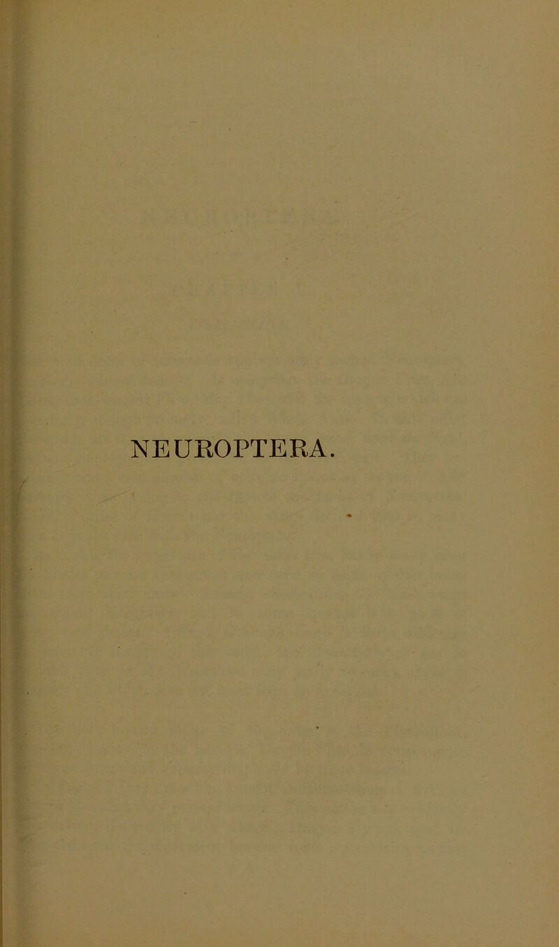 NEUROPTERA.