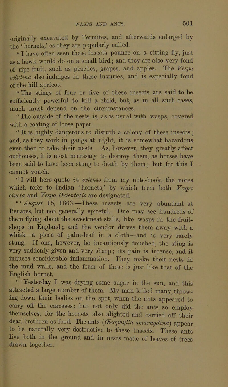 originally excavated by Termites, and afterwards enlarged by the ‘ hornets,’ as they are popularly called. “ I have often seen these insects pounce on a sitting fly, j List as a hawk would do on a small bird; and they are also very fond of ripe fruit, such as peaches, grapes, and apples. The Vespa velutina also indulges in these luxuries, and is especially fond of the hill apricot. “ The stings of four or five of these insects are said to be sufficiently powerful to kill a child, but, as in all such cases, much must depend on the circumstances. “ The outside of the nests is, as is usual with wasps, covered with a coating of loose paper. “ It is highly dangerous to disturb a colony of these insects ; and, as they work in gangs at night, it is somewhat hazardous even then to take their nests. As, however, they greatly affect outhouses, it is most necessary to destroy them, as horses have been said to have been stung to death by them; but for this I cannot vouch. “ I will here quote in extcnso from my note-book, the notes which refer to Indian ‘hornets,’ by which term both Vespa cincta and Vespa Orientalis are designated. “‘August 15, 1863.—These insects are very abundant at Benares, but not generally spiteful. One may see hundreds of them flying about the sweetmeat stalls, like wasps in the fruit- shops in England; and the vendor drives them away with a whisk—a piece of palm-leaf in a cloth—and is very rarely stung. If one, however, be incautiously touched, the sting is very suddenly given and very sharp; its pain is intense, and it induces considerable inflammation. They make their nests in the mud walls, and the form of these is just like that of the English hornet. “‘Yesterday I was drying some sugar in the sun, and this attracted a large number of them. My man killed many, throw- ing down their bodies on the spot, when the ants appeared to carry off the carcases; but not only did the ants so employ themselves, for the hornets also alighted and carried off their dead brethren as food. The ants (CEcophylla smaragdina) appear to be naturally very destructive to these insects. These ants live both in the ground and in nests made of leaves of trees drawn together.