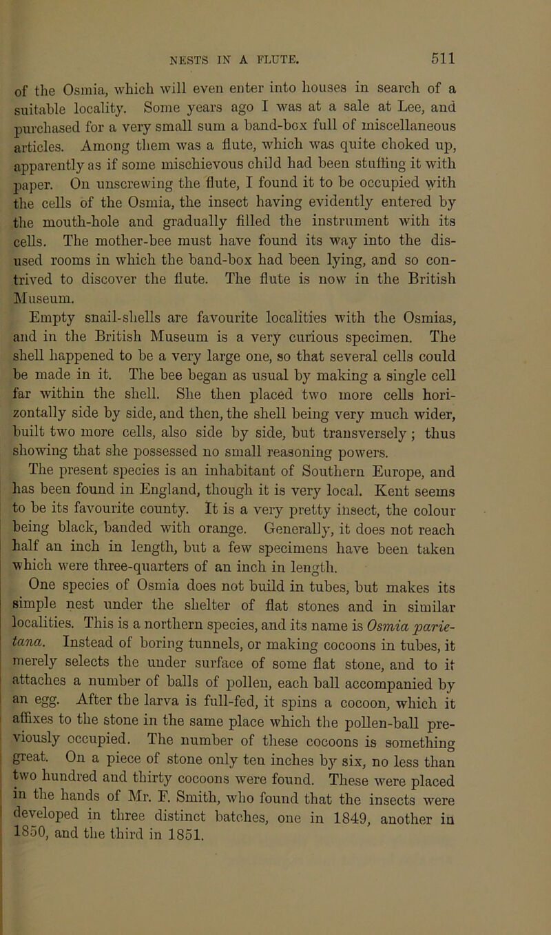 of the Osmia, which will even enter into houses in search of a suitable locality. Some years ago I was at a sale at Lee, and purchased for a very small sum a band-box full of miscellaneous articles. Among them was a flute, which was quite choked up, apparently as if some mischievous child had been stuffing it with paper. On unscrewing the flute, I found it to be occupied with the cells of the Osmia, the insect having evidently entered by the mouth-hole and gradually filled the instrument with its cells. The mother-bee must have found its way into the dis- used rooms in which the band-box had been lying, and so con- trived to discover the flute. The flute is now in the British Museum. Empty snail-shells are favourite localities with the Osmias, and in the British Museum is a very curious specimen. The shell happened to be a very large one, so that several cells could be made in it. The bee began as usual by making a single cell far within the shell. She then placed two more cells hori- zontally side by side, and then, the shell being very much wider, built two more cells, also side by side, but transversely; thus showing that she possessed no small reasoning powers. The present species is an inhabitant of Southern Europe, and has been found in England, though it is very local. Kent seems to be its faAmurite county. It is a very pretty insect, the colour being black, banded with orange. Generally, it does not reach half an inch in length, but a few specimens have been taken which were three-quarters of an inch in length. One species of Osmia does not build in tubes, but makes its simple nest under the shelter of flat stones and in similar localities. This is a northern species, and its name is Osmia parie- tana. Instead of boring tunnels, or making cocoons in tubes, it merely selects the under surface of some flat stone, and to it i attaches a number of balls of pollen, each ball accompanied by : an egg. After the larva is full-fed, it spins a cocoon, which it affixes to the stone in the same place which the pollen-ball pre- viously occupied. The number of these cocoons is something ; great. On a piece of stone only ten inches by six, no less than two hundred and thirty cocoons were found. These were placed 1 in the hands of Mr. F. Smith, who found that the insects were ' developed in three distinct batches, one in 1849, another in 1850, and the third in 1851.