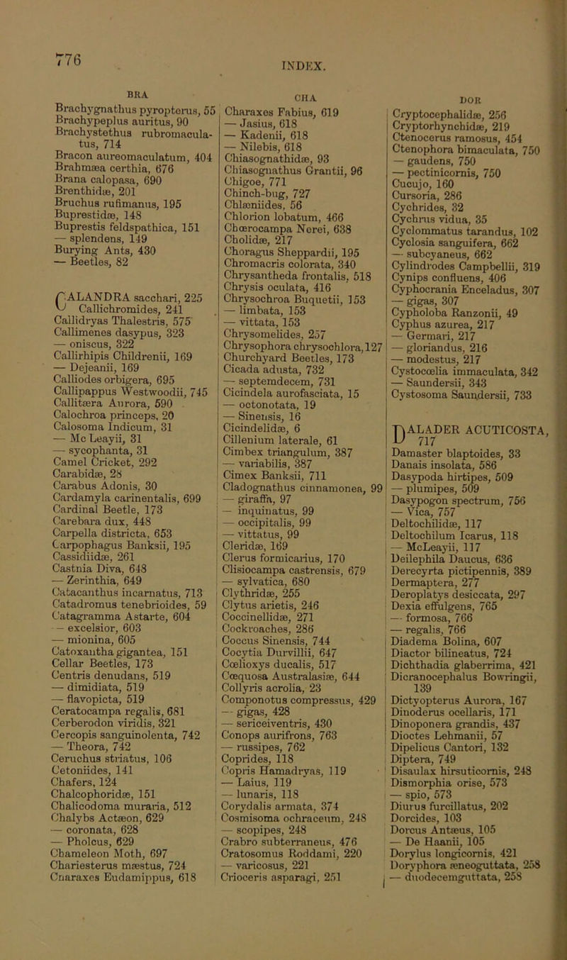 BRA Brachygnathus pyroptorus, 55 Braohypeplus auritus, 90 Brachystethus rubromacula- tus, 714 Bracon aureomaculatum, 404 Brabmma certhia, 676 Brana calopasa, 690 Brenthid®, 201 Bruchua rufimanus, 195 Buprestid®, 148 Buprestis feldspathica, 151 — splendens, 149 Burying Ants, 430 — Beetles, 82 pALANDRA sacchari, 225 Callichromides, 241 Callidryas Thalestris, 575 Callimenes dasypus, 323 — oniseus, 322 Callirhipis Childrenii, 169 — Dejeanii, 169 Calliodes orbigera, 695 Callipappus Westwoodii, 745 Callit®ra Aurora, 590 Calochroa princeps, 20 Calosoma Indicum, 31 — McLeayii, 31 — sycophanta, 31 Camel Cricket, 292 Carabid®, 28 Carabus Adonis, 30 Cardamyla carinentalis, 699 Cardinal Beetle, 173 Carebara dux, 448 Carpella districta, 653 Carpophagus Banksii, 195 Cassidiid®, 261 Castnia Diva, 648 — Zerinthia, 649 Catacanthus incamatus, 713 Catadromus tenebrioides, 59 Catagramma Astarte, 604 — excelsior, 603 — mionina, 605 Catoxautha gigantea, 151 Cellar Beetles, 173 Centris denudans, 519 — dimidiata, 519 — flavopieta, 519 Ceratocampa regalis, 681 Cerberodon viridis, 321 Cercopis sanguinolenta, 742 ! — Theora, 742 Ceruchus striatus, 106 Cetoniides, 141 Chafers, 124 Chaleophorid®, 151 Chalicodoma muraria, 512 Chalybs Actmon, 629 — coronata, 628 — Pholeus, 629 Chameleon Moth, 697 Chariesterus m®stus, 724 Cnaraxes Eudamippus, 618 CHA Charaxes Fabius, 619 — Jasius, 618 — Kadenii, 618 — Nilebis, 618 Cliiasognathid®, 93 Chiasognathus Grantii, 96 Chigoe, 771 Chinch-bug, 727 Chlaoniides, 56 Chlorion lobatum, 466 Choerocampa Nerei, 638 Cholid®, 217 Choragus Sheppardii, 195 Chromacris colorata, 340 Chrysantheda frontalis, 518 Chrysis oculata, 416 Chrysochroa Buquetii, 153 — limbata, 153 — vittata, 153 j Chrysomelides, 257 Chrysophorachrysochlora,127 I Churchyard Beetles, 173 Cicada adusta, 732 — septemdecem, 731 Cicindela aurofasciata, 15 — octonotata, 19 — Sinensis, 16 Cicindelidao, 6 Cillenium laterale, 61 Cimbex triangulum, 387 — variabilis, 387 Cimex Banksii, 711 Cladognathus cinnamonea, 99 : — giraS'a, 97 — inquinatus, 99 — occipitalis, 99 — vittatus, 99 Cl e rid to, 169 Clerus formicarius, 170 Clisiocampa castrensis, 679 — sylvatica, 680 j Clythrid®, 255 Clytus arietis, 246 Cocci nel lid®, 271 Cockroaches, 286 Coccus Sinensis, 744 Cocytia Durvillii, 647 Coelioxys ducalis, 517 Coequosa Australasia, 644 Collyris acrolia, 23 Componotus compressus, 429 — gigas, 428 — sericeiventris, 430 Conops aurifrons, 763 — russipes, 762 Coprides, 118 Copris Hamadryas, 119 — Laius, 119 — lunaris, 118 Corydalis armata, 374 Cosmisoma ochraceum, 248 — scopipes, 248 Crabro subterraneus, 476 Cratosomus Roddami, 220 — varicosus, 221 Crioceris asparagi, 251 DOR Cryptocephalid®, 256 Cryptorhynchid®, 219 Ctenocerus ramosus, 454 Ctenophora biraaculata, 750 — gaudens, 750 — pectin ieomis, 750 Cucujo, 160 Cursoria, 286 Cychrides, 32 Cychms vidua, 35 Cyclommatus tarandus, 102 Cyclosia sanguifera, 662 — subcyaneus, 662 Cylindrodes Campbellii, 319 Cynips confluens, 406 Cyphocrania Enceladus, 307 — gigas, 307 Cypholoba Ranzonii, 49 Cyphus azurea, 217 — German, 217 — gloriandus, 216 — modestus, 217 Cystocoelia immaculata, 342 — Saundersii, 343 Cystosoma Saundersii, 733 DALADER ACUTICOSTA, 717 Damaster blaptoides, 33 Danais insolata, 586 Dasypoda hirtipes, 509 — plumipes, 509 Dasypogon spectrum, 756 — Vica, 757 Deltochilid®, 117 Deltochilum Icarus, 118 — McLeayii, 117 Deilephila Daucus, 636 Derecyrta pictipennis, 389 Dermaptera, 277 Deroplatys desiccata, 297 Dexia eflulgens, 765 — formosa, 766 — regalis, 766 Diadema Bolina, 607 Diactor bilineatus, 724 Dichthadia glaberrima, 421 Dicranocephalus Bowringii, 139 Dictyopterus Aurora, 167 Dinoderus ocellaris, 171 Dinoponera grandis, 437 Dioctes Lehmanii, 57 Dipelicus Cantori, 132 Diptera, 749 Disaulax hirsuticornis, 248 Dismorphia orise, 573 — spio, 573 Diurus fureillatus, 202 Dorcides, 103 Dorcus Ant®us, 105 — De Haanii, 105 Dorylus longicornis, 421 Doryphora wneoguttata, 258 — duodeceinguttata, 258