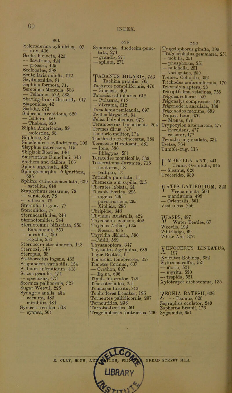 80 SOL Scleroderma eylindrica, 07 — dux, 406 Scolia bicincta, 425 — - flavifrons, 424 — procera, 425 Scolobates, 398 Scutellaria nobilis, 712 Scydmaanidse, 81 Sephina formosa, 717 Serecinus Montela, 5S3 — Telamon, 572, 583 Shaving-brush Butterfly, 617 Siagonides, 42 Sialidse, 373 Siderone Archidona, 620 — Isidora, 620 — Thebais, 620 Silpha Americana, 89 — ccelestina, 88 Silphidae, 82 Sinodendrou cylindricmu, 105 Sisyphus murioatus, 115 Skipjack Beetles, 146 Smerinthus Dumolinii, 643 Soldiers and Sailors, 166 Sphex argentata, 463 Sphingomorpha fulgurifera, 696 Sphinx quinquemaculata, 639 — satellita, 640 Staphylinus c;esareus, 79 — versicolor, 78 — villosus, 79 Sterculia fulgens, 77 Sterculides, 77 Sternacanthides, 246 Sternotomides, 244 Sternotomus bifasciata, 250 — Bohemanna, 250 — mirabilis, 250 — regalis, 250 Sternocera sternicornis, 148 Sternoxi, 146 Steropus, 58 Stethorectus ingens, 465 Stigmodera variabilis, 154 Stilbum splendidum, 415 Stizus grandis, 474 — speciosus, 473 Stomiza pallicornis, 327 Sugar Weevil, 225 Synagris analis, 484 — cornuta, 483 — mirabilis, 484 Synoeca cserulea, 503 — cyanea, 504 R. CLAY, SONS, INDEX. SYN ZYG Synonycha duodecim-punc- tata, 271 — grandis, 271 — spilota, 271 TABANUS HILARIS, 753 -L Tachina grandis, 765 Tachytes pompiliformis, 470 — Sinensis, 469 Tanoecia calliphorus, 612 — Pulasara, 612 —Vikrama, 612 Tarsolepis remicauda, 697 Tefflus Megarlei, 54 Telea Polyphemus, 672 Teramocerus barbicornis, 204 Termes dirus, 376 Tenebrio molitor, 174 Tenthredo coccinocerus, 388 Teracolas Hewitsonii, 581 — lone, 580 — Phlegyas, 581 Teratodes monticollis, 339 Tesseratoma Javanica, 715 — nocturna, 13 — pallipes, 13 Tetracha punctata, 11 Themesia aurisapilla, 255 Therates labiata, 21 Thespis Boetica, 295 — ingens, 295 — purpurascens, 295 — Xiphias, 296 Thripidse, 348 Thynnus Australis, 422 Thyreodon cyaneus, 402 Thyreus Abbati, 635 — Nessus, 635 Thyridia iEderia, 590 —Psidii, 589 Thysanoptera, 347 Thysanira Agrippina, 689 Tiger-Beetles, 6 Timarcha tenebricosa, 257 Timetes Corinna, 607 — Crethon, 607 -— Egina, 606 Tipula imperator, 749 Tmesisternides, 251 Tomaspis furcata, 743 Tophoderes frenatus, 196 Torneutes pallidicornis, 237 I Torncutides, 236 Tortoise-beetles, 261 Tragelophorus giraffa, 199 Tragocephalus gemrnana, 251 — nobilis, 251 — phosphorus, 251 — pulchelta, 251 — variegatus, 250 Tremex Columba, 392 Trichodes crabroniformis, 170 Tricondyla aptera, 23 Tricopthalma vetelinea, 755 Trigona ruficrus, 527 Trigonalys compressus, 497 Trigonodera angulata, 186 Trigonodes maxima, 699 Tropaea Leto, 676 — Minnas, 676 Trypoxylon altematum, 477 — intrudens, 477 — rejector, 477 Tryxalis unguiculata, 334 Tsetse, 764 Tumble-bug, 113 TTMBRELLA ANT, 441 'J Urania Orientalis, 645 —- Sloanus, 626 Urocerid®, 389 VTATES LATIFOLIUM, 323 ' Vespa cincta, 500 — mandarinia, 498 — Orientalis, 501 Vesiculosa, 756 X\]ASPS, 487 '' Water Beetles, 67 Weevils, 193 Whirligigs, 69 White Ant, 376 VENOCERUS LINEATUS, A 197 Xyleutes Robinea, 682 Xylocopa eaffra, 521 — ifiorio, 521 — nigrita, 520 — trepida, 521 Xylotrupes dichotomus, 135 7EONIA BATESII, 626 IJ — Faun us, 626 Zographus oculator, 249 Zopherue Bremii, 176 Tragelophorus contractus, 200 1 Zyg®nid®, 651 an: m y-Co^ OR, PRI> BRKAD STRKRT HILL. UBRARY