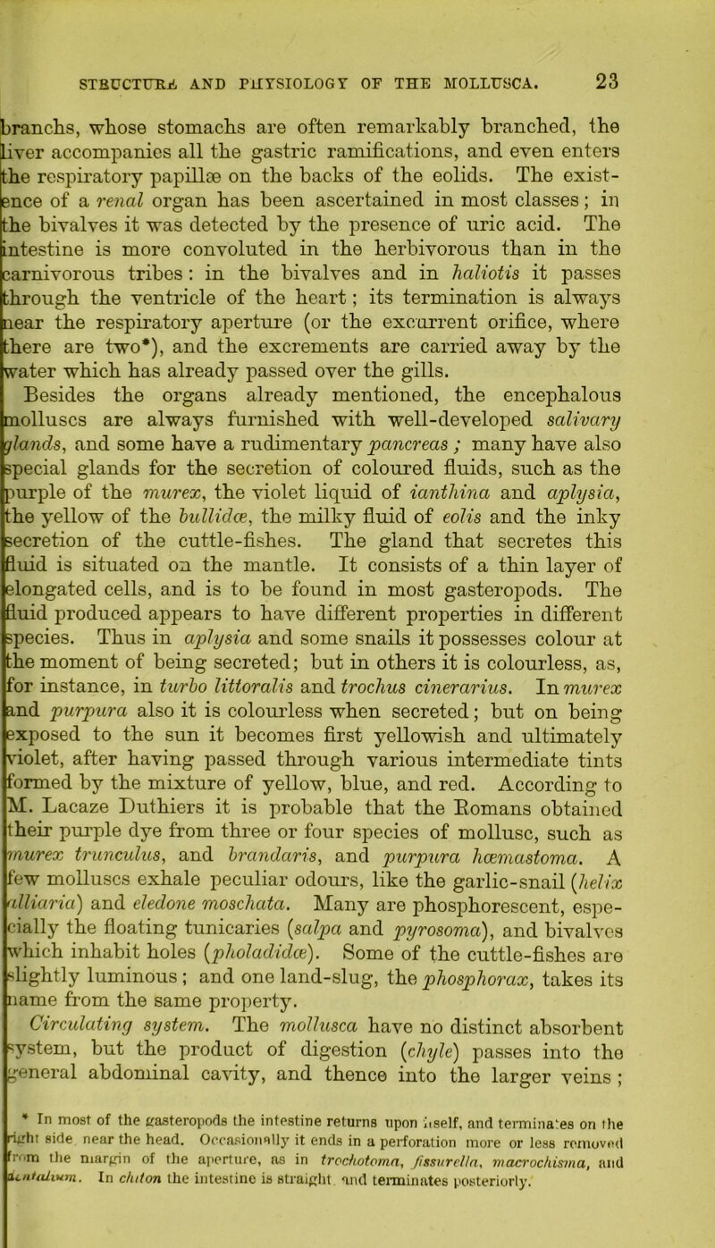 branchs, whose stomachs are often remarkably branched, the liver accompanies all the gastric ramifications, and even enters the respiratory papillae on the backs of the eolids. The exist- ence of a renal organ has been ascertained in most classes; in the bivalves it was detected by the presence of uric acid. The intestine is more convoluted in the herbivorous than in the carnivorous tribes : in the bivalves and in haliotis it passes Shrough the ventricle of the heart; its termination is always lear the respiratory aperture (or the excurrent orifice, where Inhere are two*), and the excrements are carried away by the water which has already passed over the gills. Besides the organs already mentioned, the encephalous molluscs are always furnished with well-developed salivary glands, and some have a rudimentary pancreas ; many have also special glands for the secretion of coloured fluids, such as the purple of the murex, the violet liquid of iantliina and aplysia, the yellow of the bullidce, the milky fluid of eolis and the inky secretion of the cuttle-fishes. The gland that secretes this fluid is situated on the mantle. It consists of a thin layer of elongated cells, and is to be found in most gasteropods. The fluid produced appears to have different properties in different species. Thus in aplysia and some snails it possesses colour at the moment of being secreted; but in others it is colourless, as, for instance, in turbo littoralis and troclius cinerarius. In murex and purpura also it is colourless when secreted; but on being exposed to the sun it becomes first yellowish and ultimately violet, after having passed through various intermediate tints formed by the mixture of yellow, blue, and red. According to M. Lacaze Duthiers it is probable that the Romans obtained their purple dye from three or four species of mollusc, such as murex trunculus, and brandaris, and purpura hcemastoma. A few molluscs exhale peculiar odours, like the garlic-snail (helix alliaria) and eledone moschata. Many are phosphorescent, espe- cially the floating tunicaries (salpa and pyrosoma), and bivalves which inhabit holes (pholadidce). Some of the cuttle-fishes are slightly luminous ; and one land-slug, the phosphorax, takes its name from the same property. Circulating system. The mollusca have no distinct absorbent system, but the product of digestion (chyle) passes into the general abdominal cavity, and thence into the larger veins ; * In most of the gasteropoda the intestine returns upon itself, and terminates ori the right side near the head. Occasionally it ends in a perforation more or less removed from the margin of the aperture, os in trochotoma, Jissurelln, macrockisma, and itntahuTn. In chiton the intestine is straight and terminates posteriorly.