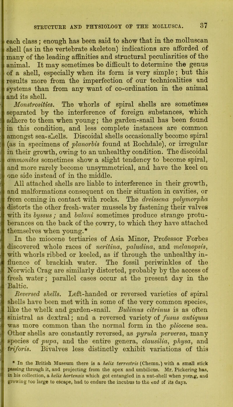 each class ; enough, has been said to show that in the molluscan shell (as in the vertebrate skeleton) indications are afforded of many of the leading affinities and structural peculiarities of the animal. It may sometimes be difficult to determine the genus of a shell, especially when its form is very simple ; but this results more from the imperfection of our technicalities and systems than from any want of co-ordination in the animal and its shell. Monstrosities. The whorls of spiral shells are sometimes separated by the interference of foreign substances, which adhere to them when young; the garden-snail has been found in this condition, and less complete instances are common amongst sea-shells. Discoidal shells occasionally become spiral (as in specimens of planorbis found at Rochdale), or irregular in their growth, owing to an unhealthy condition. The discoidal ammonites sometimes show a slight tendency to become spiral, and more rarely become unsymmetrical, and have the keel on one side instead of in the middle. All attached shells are liable to interference in their growth, and malformations consequent on their situation in cavities, or from coming in contact with rocks. The dreissena polymorpha distorts the other fresh- water mussels by fastening their valves with its byssus; and balani sometimes produce strange protu- berances on the back of the cowry, to which they have attached themselves when young.* In the miocene tertiaries of Asia Minor, Professor Forbes discovered whole races of neritina, paludina, and melanopsis, with whorls ribbed or keeled, as if through the unhealthy in- fluence of brackish water. The fossil periwinkles of the Norwich Crag are similarly distorted, probably by the access of fresh water : parallel cases occur at the present day in the Baltic. Reversed shells. Left-handed or reversed varieties of spiral shells have been met with in some of the very common species, like the whelk and garden-snail. Bulimus citrinus is as often sinistral as dextral; and a reversed variety of fusas antiquus was more common than the normal form in the pliocene sea. Other shells are constantly reversed, as pyrula perversa, many species of pupa, and the entire genera, clausilia, physa, and triforis. Bivalves less distinctly exhibit variations of this * In the British Museum there is a helix terrestrv; (Cliemn.) with a small stick passing through it, and projecting from the apex and umbilicus. Mr. Pickering has. in his collection, a helix hortensis which got entangled in a nut-shell when yomg, and growing too large to escape, had to endure the incubus to the end of its day3.