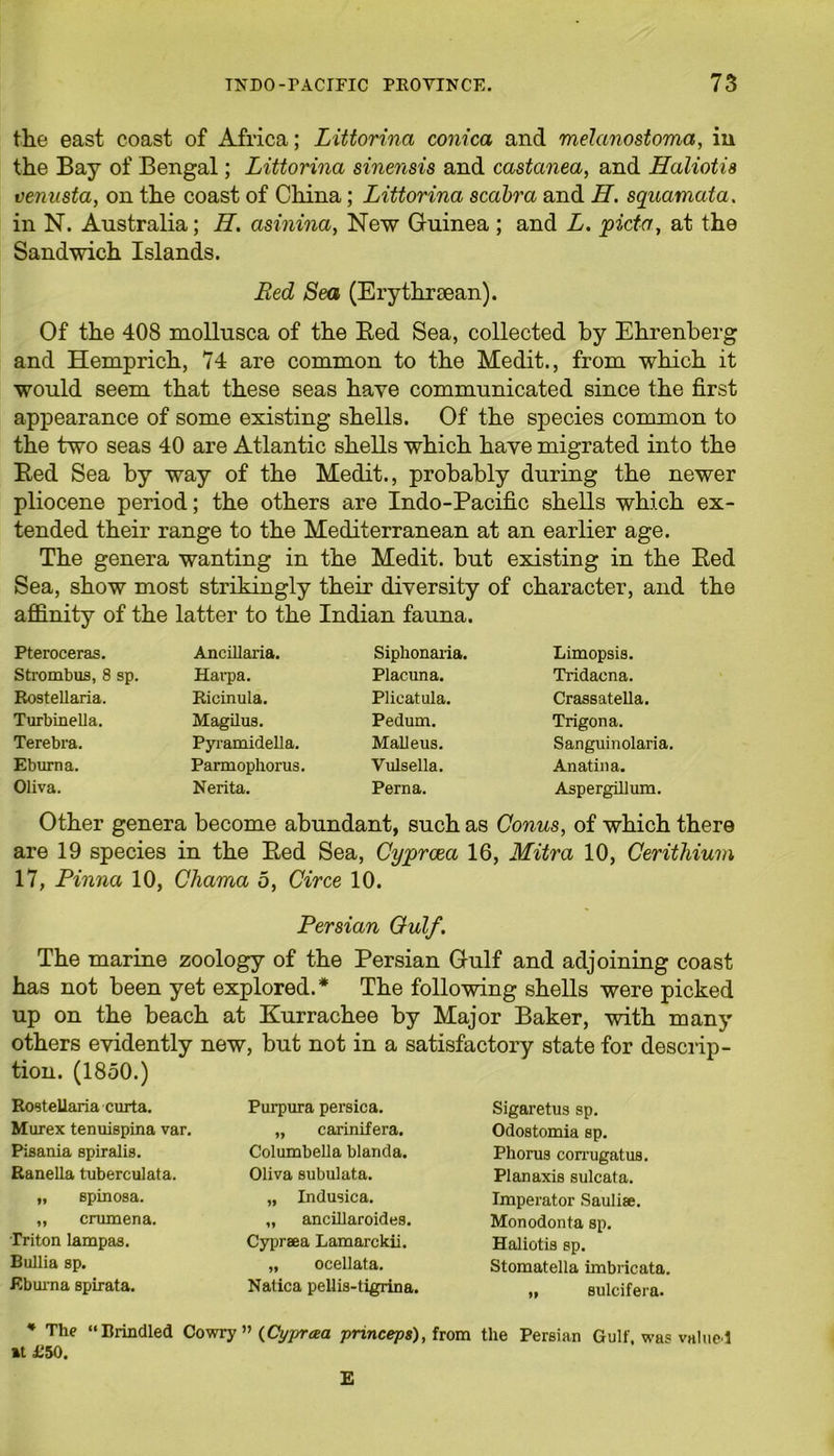 the east coast of Africa; Littorina conica and melanostoma, in the Bay of Bengal; Littorina sinensis and castanea, and Haliotis vemista, on the coast of China; Littorina scabra and H. squamata. in N. Australia; H. asinina, New Guinea ; and L. picta, at the Sandwich Islands. Bed Sea (Erythraean). Of the 408 mollusca of the Red Sea, collected by Ehrenberg and Hemprich, 74 are common to the Medit., from which it would seem that these seas have communicated since the first appearance of some existing shells. Of the species common to the two seas 40 are Atlantic shells which have migrated into the Red Sea by way of the Medit., probably during the newer pliocene period; the others are Indo-Pacific shells which ex- tended their range to the Mediterranean at an earlier age. The genera wanting in the Medit. but existing in the Red Sea, show most strikingly their diversity of character, and the affinity of the latter to the Indian fauna. Pteroceras. Ancillaria. Siphonaria. Limopsis. Strombus, 8 sp. Harpa. Placuna. Tridaena. Rostellaria. Ricinula. Plicatula. Crassatella. Turbinella. Magilus. Pedum. Trigona. Terebra. Pyramidella. Malleus. Sanguinolaria. Eburna. Parmophorus. Vulsella. Anatina. Oliva. Nerita. Perna. Aspergillum. Other genera become abundant, such as Conus, of which there are 19 species in the Red Sea, Cypra&a 16, Mitra 10, Cerithium 17, Pinna 10, Chama 5, Circe 10. Persian Oulf. The marine zoology of the Persian Gulf and adjoining coast has not been yet explored.* The following shells were picked up on the beach at Kurrachee by Major Baker, with many others evidently new, but not in a satisfactory state for descrip- tion. (1850.) Rostellaria curta. Murex tenuispina var. Pisania spiralis. Ranella tuberculata. „ spinosa. „ crumena. Triton lampas. Bullia sp. Eburna spirata. Purpura persica. „ carinifera. Columbella blanda. Oliva subulata. „ Indusica. „ ancillaroides. Cypraea Lamarckii. „ ocellata. Natica pellis-tigrina. Sigaretus sp. Odostomia sp. Phorus corrugatus. Planaxis sulcata. Imperator Sauliae. Monodonta sp. Haliotis sp. Stomatella imbricata. „ sulcifera. * The “Brindled Cowry ” (Cypraa princeps), from the Persian Gulf, was valued »t £50. E