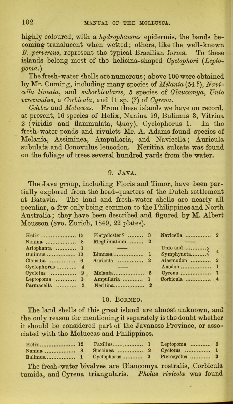 highly coloured, with a hydrophanous epidermis, the bands be- coming translucent when wetted; others, like the well-known B. perversus, represent the typical Brazilian forms. To these islands belong most of the helicina-shaped Cyclophori (Lepto- poma.) The fresh-water shells are numerous; above 100 were obtained by Mr. Cuming, including many species of Melania (54 ?), Navi- cella lineata, and suborbicularis, 5 species of Glaucomya, Unio verecundus, a Corbicula, and 11 sp. (?) of Cyrena. Celebes and Moluccas. From these islands we have on record, at present, 16 species of Helix, Nanina 19, Bulimus 3, Vitrina 2 (viridis and flammulata, Quoy), Cyclophorus 1. In the fresh-water ponds and rivulets Mr. A. Adams found species of Melania, Assiminea, Ampullaria, and Navicella; Auricula subulata and Conovulus leucodon. Neritina sulcata was found on the foliage of trees several hundred yards from the water. 9. Java. The Java group, including Floris and Timor, have been par- tially explored from the head-quarters of the Dutch settlement at Batavia. The land and fresh-water shells are nearly all peculiar, a few only being common to the Philippines and North Australia; they have been described and figured by M. Albert Mousson (8vo. Zurich, 1849, 22 plates). Helix 15 Platycloster ? .... 3 Navicella 2 Nanina 8 Meghimatium .... 2 — Ariophanta 1 Unio and 'I Uulimus 10 Limnaea .... 1 Symphynota Clausilia 6 Auricula .... 2 Alasmodon 2 Cyclophorus 4 Anodon 1 Cyclotus 2 Melania .... 5 Cyrena 7 Leptopoma 1 Ampullaria ... 1 Corbicula 4 Parmacella 3 Neritina .... 2 10. Borneo. The land shells of this great island are almost unknown, and the only reason for mentioning it separately is the doubt whether it should be considered part of the Javanese Province, or asso- ciated with the Moluccas and Philippines. Helix 12 Paxillus 1 Leptopoma 3 Nanina 8 Succinea 2 Cyclotus I Bulimus 1 Cyclophorus 2 Pterocyclus 2 The fresh-water bivalves are Glaucomya rostralis, Corbicula tumida, and Cyrena triangularis. Pholas rivicola was found