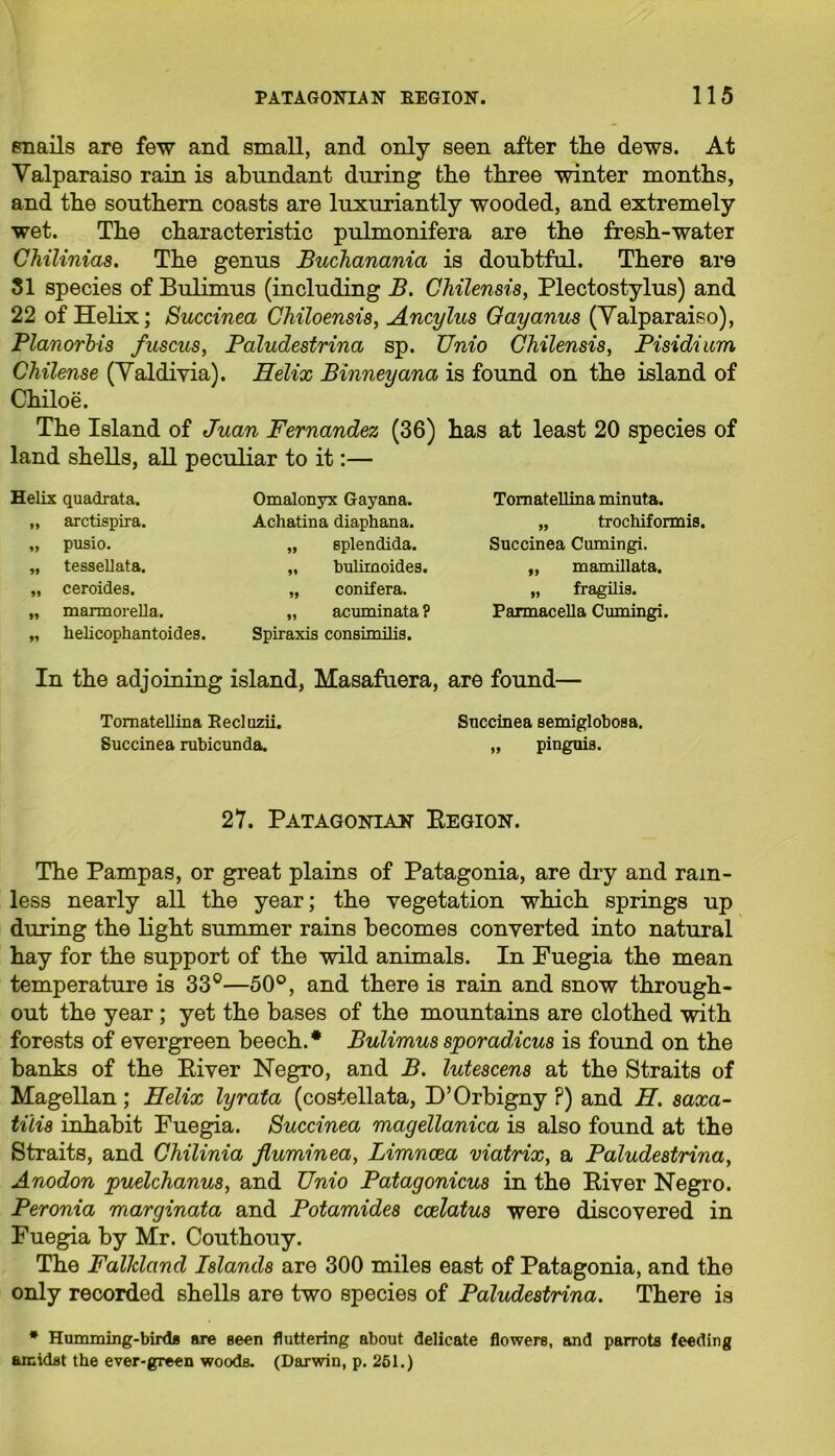 snails are few and small, and only seen after tlie dews. At Valparaiso rain is abundant during tbe three winter months, and the southern coasts are luxuriantly wooded, and extremely wet. The characteristic pulmonifera are the fresh-water Chilinias. The genus Buchanania is doubtful. There are 31 species of Bulimus (including B. Chilensis, Plectostylus) and 22 of Helix; Succinea Chiloensis, Ancylus Oayanus (Valparaiso), Planorbis fuscus, Pdludestrina sp. Unio Chilensis, Pisidium Chilense (Valdivia). Helix Binneyana is found on the island of Chiloe. The Island of Juan Fernandez (36) has at least 20 species of land shells, all peculiar to it:— Helix quadrata. „ arctispira. „ pusio. „ tessellata. „ ceroides. „ marmorella. „ helicophantoides. Omalonyx Gayana. Achatina diaphana. „ splendida. „ bulimoides. „ conifera. „ acuminata ? Spiraxis consimilis. Tomatellina minuta. „ trochiformis. Succinea Cumingi. „ mamillata. „ fragilis. Parmacella Cumingi. In the adjoining island, Masafuera, are found— Tomatellina Recluzii. Succinea rubicunda. Succinea semiglobosa. „ pinguis. 27. Patagonian Eegion. The Pampas, or great plains of Patagonia, are dry and rain- less nearly all the year; the vegetation which springs up during the light summer rains becomes converted into natural hay for the support of the wild animals. In Puegia the mean temperature is 33°—50°, and there is rain and snow through- out the year; yet the bases of the mountains are clothed with forests of evergreen beech. * Bulimus sporadicus is found on the banks of the Eiver Negro, and B. lutescens at the Straits of Magellan; Helix lyrata (costellata, D’Orbigny F) and H. saxa- tilis inhabit Fuegia. Succinea magellanica is also found at the Straits, and Chilinia fluminea, Limnoea viatrix, a Paludestrina, Anodon puelchanus, and Unio Patagonicus in the Eiver Negro. Peronia marginata and Potamides coelatus were discovered in Fuegia by Mr. Couthouy. The Falkland Islands are 300 miles east of Patagonia, and the only recorded shells are two species of Paludestrina. There is * Humming-birds are seen fluttering about delicate flowers, and parrots feeding amidst the ever-green woods. (Darwin, p. 251.)