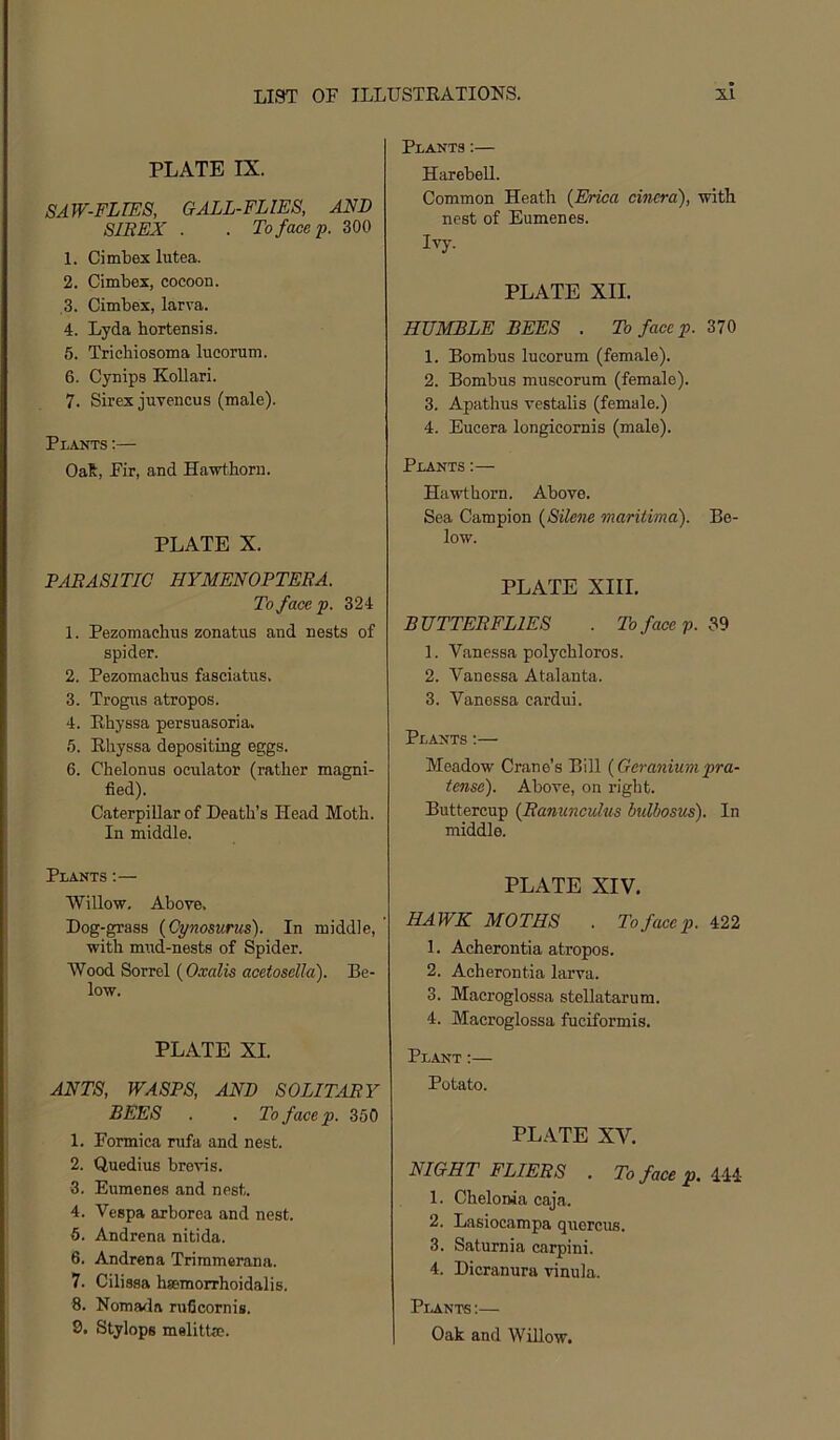 PLATE IX. SAW-FLIES, GALL-FLIES, AND 81BEX . . To face p. 300 1. Cimbex lutea. 2. Cimbex, cocoon. ,3. Cimbex, larva. 4. Lyda hortensis. 5. Tricbiosoma lucorum. 6. Cynips Kollari. 7. Sirex jnvencus (male). Plants ;— OaR, Fir, and Hawthorn. PLATE X. PAEASITIC HYMENOPTERA. To face p. 324 1. Pezomachns zonatus and nests of spider. 2. Pezomachns fasciatus. 3. Trogns atropos. 4. Rhyssa persuasoria. 6. Rhyssa depositing eggs. 6. Chelonus ocnlator (rather magni- fied). Caterpillar of Death’s Head Moth. In middle. Plants:— Willow. Above. Dog-grass {Cynosurus). In middle, with m\id-nests of Spider. Wood Sorrel {Oxalis acetosella). Be- low. PLATE XI. ANTS, WASPS, AND SOLITARY BEES . . To face p. 350 1. Formica mfa and nest. 2. Quedius brevis. 3. Eumenes and nest. 4. Vespa arborea and nest. 6. Andrena nitida. 6. Andrena Trimmerana. 7. Cilissa hsemorrhoidalis. 8. Nomafla ruficornis. 9. Stylops melittm. Plants :— Harebell. Common Heath {Erica cinera), with nest of Eumenes. Ivy. PLATE XII. HUMBLE BEES . To face p. 370 1. Bombus lucorum (female). 2. Bombus muscorum (female). 3. Apathus vestalis (female.) 4. Eucera longicornis (male). Plants :— Hawthorn. Above. Sea Campion {Silene maritima). Be- low. PLATE XIII. BUTTERFLIES . Tofacep.S^ 1. Vanessa polychloros. 2. Vanessa Atalanta. 3. Vanessa cardui. Plants:— Meadow Crane's Bill {Geraniumpra- tense). Above, on right. Buttercup {Ranunculus bulbosus). In middle. PLATE XIV. HAWK MOTHS . To face p. 422 1. Acherontia atropos. 2. Acherontia larva. 3. Macroglossa stellatarum. 4. Macroglossa fuciformis. Plant:— Potato. PLATE XV. NIGHT FLIERS . To face p. 444 1. Chelonia caja. 2. Lasiocampa quercus. 3. Saturnia carpini. 4. Dicranura vinula. Plants :— Oak and Willow.