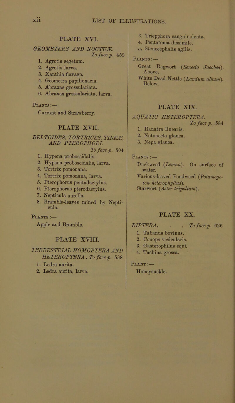 PLATE XVI. GEOMETERS AND NOCTUJE. To face p. 452 1. Agrotis segetum. 2. Agrotis larva. 3. Xanthia flavago. 4. Geometra papilionaria. 6. Abraxas grossulariata. 6. Abraxas grossulariata, larva. Plants :— Curraut and Strawberry. PLATE XVII. BELTOIRES, TORTRICES, TINEM, AND PTEROPHOEI. To facep. 504 1. Hypena proboscidalis. 2. Hypena proboscidalis, larva. 3. Tortrix pomonana. 4. Tortrix pomonana, larva. 6. Pterophorus pentadactylus. 6. Pterophorus pterodactylus. 7. Nepticula aurella. 8. Bramble-leaves mined by Nepti- cula. Plants:— Apple and Bramble. PLATE XVIII. TERRESTRIAL HOMOPTERA AND HETEROPTERA . To facep. 538 1. Ledra aurita. 2. Ledra aurita, larva. 3. Triepphora sanguinolenta. 4. Pentatoma dissimile. 5. Stenocephalis agilis. Plants ;— Great Ragwort (Senecio Jacobea). Above. White Dead Nettle {Lamium album). Below. PLATE XIX. AQUATIC HETEROPTERA. To facep. 584 1. Ranatra linearis. 2. Notonecta glauca. 3. Nepa glauca. Plants:— Duckweed (Lemna). On surface of water. Various-leaved Pondweed {Potamoge- ton heterophyUtis). Starwort {Aster tripolium). PLATE XX. DIPTERA. . . 7bfacep. 626 1. Tabanus bovinus. 2. Conops vesicularis. 3. Gasterophilus equi. 4. Tachina grossa. Plant:— Honeysuckle.