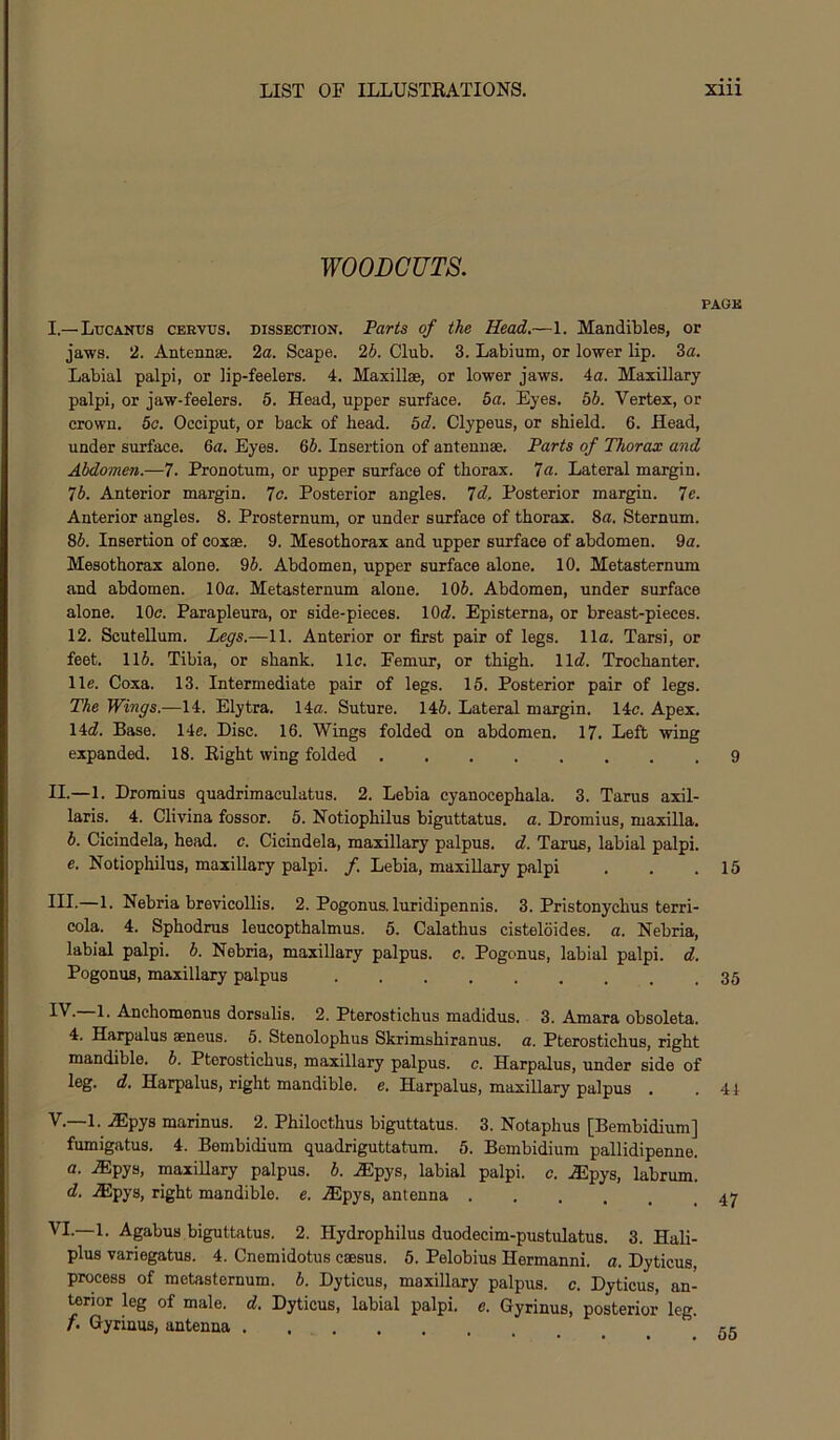 WOODCUTS. PAGE I. — Lucanus ceevtjs. dissection. Parts of the Head,—1. Mandibles, or jaws. 2. Antennse. 2a. Scape. 2b. Club. 3. Labium, or lower lip. 3a. Labial palpi, or lip-feelers. 4. Maxillae, or lower jaws. 4a. Maxillary palpi, or jaw-feelers. 5. Head, upper surface. 6a. Eyes. 56. Vertex, or crown. 5c. Occiput, or back of head. bd. Clypeus, or shield. 6. Head, under surface. 6a. Eyes. 66. Insertion of antennae. Parts of Thorax and Abdomen.—7. Pronotum, or upper surface of thorax. 7a. Lateral margin. 76. Anterior margin. 7c. Posterior angles. Id, Posterior margin. 1e. Anterior angles. 8. Prosternum, or under surface of thorax. 8a. Sternum. 86. Insertion of coxae. 9. Mesothorax and upper surface of abdomen. 9a. Mesothorax alone. 96. Abdomen, upper surface alone. 10. Metasternum and abdomen. 10a. Metasternum alone. 106. Abdomen, under surface alone. 10c. Parapleura, or side-pieces. 10(7. Episterna, or breast-pieces. 12. Scutellum. Legs.—11. Anterior or first pair of legs. 11a. Tarsi, or feet. 116. Tibia, or shank. 11c. Femur, or thigh. 11(7. Trochanter, lie. Coxa. 13. Intermediate pair of legs. 15. Posterior pair of legs. The Wings.—14. Elytra. 14a. Suture. 146. Lateral margin. 14c. Apex. 14(7. Base. 14e. Disc. 16. Wings folded on abdomen. 17. Left wing expanded. 18. Eight wing folded 9 II. —1. Droraius quadrimaculatus. 2. Lebia cyanocephala. 3. Tarns axil- laris. 4. Clivina fossor. 5. Notiophilus biguttatus. a. Dromius, maxilla. 6. Cicindela, head. c. Cicindela, maxillary palpus, d. Tarus, labial palpi. e. Notiophilus, maxillary palpi. /. Lebia, maxillary palpi . . .15 III. —1. Nebria brevicollis. 2. Pogonus. luridipennis. 3. Pristonychus terri- cola. 4. Sphodrus leucopthalmus. 5. Calathus cisteloides. a. Nebria, labial palpi. 6. Nebria, maxillary palpus, c. Pogonus, labial palpi, d. Pogonus, maxillary palpus 35 —1. Anchomenus dorsalis. 2. Pterostichus madidus. 3. Amara obsoleta. 4. Harpalus aeneus. 6. Stenolophus Skrimshiranus. a. Pterostichus, right mandible. 6. Pterostichus, maxillary palpus, c. Harpalus, under side of leg. (7. Harpalus, right mandible, e. Harpalus, maxillary palpus . .41 V. —1. JEpys marinus. 2. Philocthus biguttatus. 3. Notaphus [Bembidium] fumigatus. 4. Bembidium quadriguttatum. 5. Bembidium pallidipenne. a. .(Epys, maxillary palpus. 6. .ffipys, labial palpi, c. iEpys, labrum. d. .®pys, right mandible, e, .®pys, antenna •...., 47 VI. —1. Agabus biguttatus. 2. Hydrophilus duodecim-pustulatus. 3. Hali- plus variegatus. 4. Cnemidotus caesus. 6. Pelobius Hermanni. a. Dyticus, process of metasternum. 6. Dyticus, maxillary palpus, c. Dyticus, an- terior leg of male. d. Dyticus, labial palpi, c. Gyrinus, posterior leg. f. Gyrinus, antenna , ce