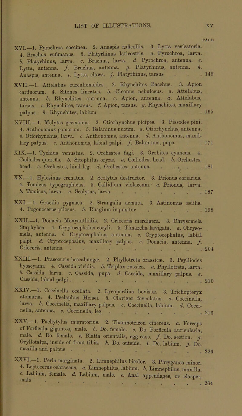 PAGB XVI. 1. Pyrocliroa coccinea. 2. Anaspis Diflcollis. 3. Lytta vesicatoria. 4. Bruchus rufimanus. 5. Platyrhinus latirostris. a. Pyrochroa, larva. b. Platyrhinus, larva, c. Bruchus, larva, d. Pyrochroa, antenna, e. Lytta, antenna. /. Bruchus, antenna, g. Platyrhinus, antenna, h. Anaspis, antenna, i. .Lytta, claws. J. Platyrhinus, tarsus . . .149 XVII. —1. Attelabus curculionoid.es. 2. Rhynchites Bacchus. 3. Apion carduorum. 4. Sitones lineatus. 5. Cleonus nebulosus. a. Attelabus, antenna, b. Rhynchites, antenna, c. Apion, antenna, d. Attelabus, tarsus, e. Rhynchites, tarsus. /. Apion, tarsus, g. Rhynchites, maxillary palpus, h. Rhynchites, labium 165 XVIII.—1. Molytes germanus. 2. Otiorhynchus picipes. 3. Pissodes pini. 4. Anthonomus pomorum. 5. Balaninus nucum. u, Otiorhynchus, antenna. b. Otiorhynchus, larva, c. Anthonomus, antenna, d. Anthonomus, maxil- lary palpus. e. Anthonomus, labial palpi. /. Balaninus, pupa . .171 XIX. —1. Tychius venustus. 2. Orchestes fagi. 3. Orobites cyaneus. 4. Coeliodes quercus. 6. Sitophilus oryzse. a. Coeliodes, head. b. Orchestes, head. c. Orchestes, hind leg. d. Orchestes, antenna . . j . .181 XX. —1. Hylesinus crenatus. 2. Scolytus destructor. 3. Prionus coriarius. 4. Tomicus typographicus. 5. Callidium violaceum.- a. Prionus, larva. b. Tomicus, larva, o. Scolytus, larva . . . . . . .187 XXI. —1. Gracilia pygmsea. 2. Strangalia armata. 3. Astinomus ardilis. 4. Pogonocerus pilosus. 6. Rhagium inquisitor ..... 198 XXII. —1. Donacia Menyanthidis. 2. Crioceris merdigera. 3. Chrysomela Staphylsea. 4. Cryptocephalus coryli. 5. Timarcha laevigata, a. Chryso- mela, antenna, b. Cryptocephalus, antenna, c. Cryptocephalus, labial palpi, d. Cryptocephalus, maxillary palpus, e. Donacia, antenna. /. Crioceris, antenna 20 4 XXIII.—1. Prasocuris beccabungae. 2. Phyllotreta brassicae. 3. Psylliodes hyoscyami. 4. Cassida viridis. 5. Triplax russica. a. Phyllotreta, larva. b. Cassida, larva, c. Cassida, pupa. d. Cassida, maxillary palpus, e. Cassida, labial palpi . . . . . . . . . . _ 210 XXIV. 1. Coccinella ocellata. 2. Lycoperdina bovistse. 3. Trichopteryx atomaria. 4. Pselaphus Heisei. 6. Claviger foveolatus. a. Coccinella, larva, b. Coccinella, maxillary palpus, c. Coccinella, labium, d. Cocci- nella, antenna, e. Coccinella, leg 216 XXV. 1. Paohytylus migratorius. 2. Thamnotrizon cinereus. a. Forceps of Forficula gigantea, male. b. Do. female, c. Do. Forficula auricularia, male. d. Do. female, e. Blatta orientalis, egg-case. /. Do. section, g. Grj-llotalpa, inside of front tibia, h. Do. outside, i. Do. labium, j. Do. maxilla and palpus 226 XXVI. —1. Perk marginata. 2. Limnephilus bicolor. 3. Phryganea minor. 4. Leptocerus ochraceus. a. Limnephilus, labium, b. Limnephdus, inaxiUa. c. Labium, female, d. Labium, male. e. Anal appendages, or cksper, 264