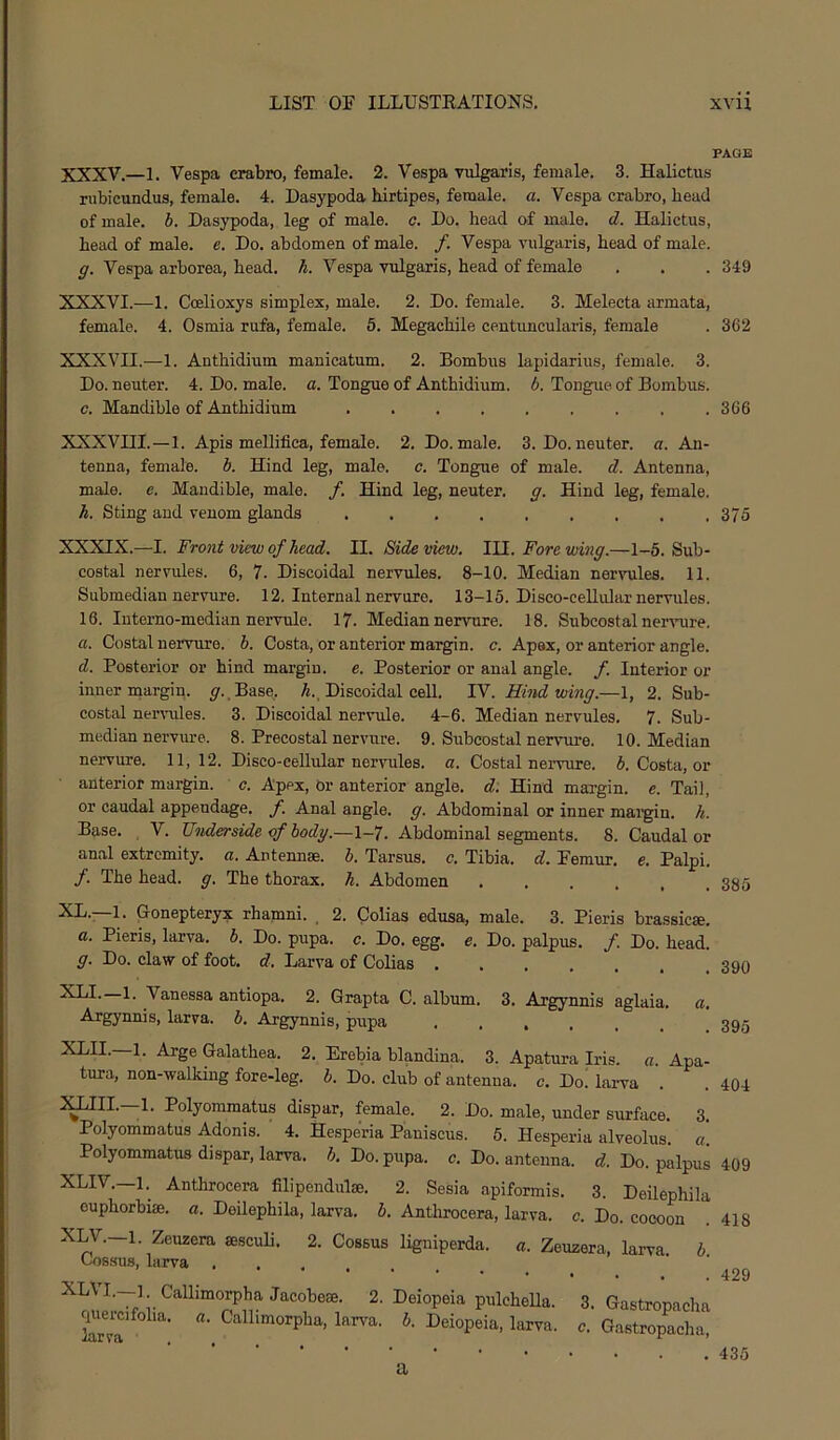 PAGE XXXV.—1. Vespa erabro, female. 2. Vespa vulgaris, female. 3. Halictus rubicundus, female. 4. Dasypoda birtipes, female, a. Vespa crabro, bead of male. b. Dasypoda, leg of male. c. Do. bead af male. d. Halictus, head of male. e. Do. abdomen of male. /. Vespa vulgaris, bead of male. g. Vespa arborea, bead. h. Vespa vulgaris, head of female . . . 349 XXXVI.—1. Coelioxys simplex, male. 2. Do. female. 3. Melecta armata, female. 4. Osmia rufa, female. 5. Megachile centimcularis, female . 362 XXXVII.—1. Antbidium manicatum. 2. Bombus lapidarius, female. 3. Do. neuter. 4. Do. male. a. Tongue of Antbidium. b. Tongue of Bombus. c. Mandible of Antbidium 366 XXXVIII.—1. Apis mellifica, female. 2. Do. male. 3. Do. neuter, a. An- tenna, female, b. Hind leg, male. c. Tongue of male. d. Antenna, male. e. Mandible, male. /. Hind leg, neuter, g. Hind leg, female. h. Sting and venom glands 375 XXXIX.—I. Front view of head. II. Side view. lH. Fore wing.—1-5. Sub- costal nervules. 6, 7. Discoidal nervules. 8-10. Median nervules. 11. Submedian nervure. 12. Internal nervure. 13-15. Disco-cellular nervules. 16. Interno-median nervule. 17. Median nervure. 18. Subcostal nervure. a. Costal nervure. b. Costa, or anterior margin, c. Apex, or anterior angle. d. Posterior or bind margin, e. Posterior or anal angle. /. Interior or inner margin. ^.,Base. A.. Discoidal cell IV. Hind wing.—1, 2. Sub- costal nenmles. 3. Discoidal nervule. 4-6. Median nervules. 7. Sub- median nervure. 8. Precostal nervure. 9. Subcostal nervure. 10. Median nervure. 11, 12. Disco-cellular nervules. a. Costal nervure. 5. Costa, or anterior margin, c. Apex, or anterior angle, d. Hind margin, e. Tail, or caudal appendage, f. Anal angle, g. Abdominal or inner mai’gin. h. Base. V. Underside of body.—1—7. Abdominal segments. 8. Caudal or anal extremity, a. Antennae, b. Tarsus, c. Tibia, d. Femur, e. Palpi. f. The bead. g. The thorax, h. Abdomen XL. 1. Gonepteryx rhamni. ^ 2. Colias edusa, male. 3. Pieris brassicse. a. Pieris, larva, b. Do. pupa. c. Do. egg. e. Do. palpus. /. Do. bead. g. Do. claw of foot. d. Larva of Colias 390 395 404 Vanessa antiopa. 2. Grapta C. album. 3. Argynnis aglaia. a. Argynnis, larva, b. Argynnis, piipa Galathea. 2. Erebia blandina. 3. Apatura Iris. a. Apa- tura, non-walking fore-leg. b. Do. club of antenna, c. Do. larva jam.—1. Polyommatus dispar, female. 2. Do. male, under surface. 3. Polyommatus Adonis. 4. Hesperia Paniscus. 5. Hesperia alveolus, a. Polyommatus dispar, larva, b. Do. pupa. c. Do. antenna, d. Do. palpus 409 XLIV.—1. Anthrocera filipendulae. 2. Sesia apiformis. 3. Deilephila euphorbias, a. Deilephila, larva, b. Anthrocera, larva, c. Do. cocoon .418 XLV.-l. Zeuzera aesculi. 2. Cossus ligniperda. a. Zeuzera, larva b CoBsus, larva . . 429 2. Deiopeia pulchella. 3. Gastropacha quercifolia. a. Callimorpba, larva, b. Deiopeia, larva, c. Gastropacha, 435 a larva