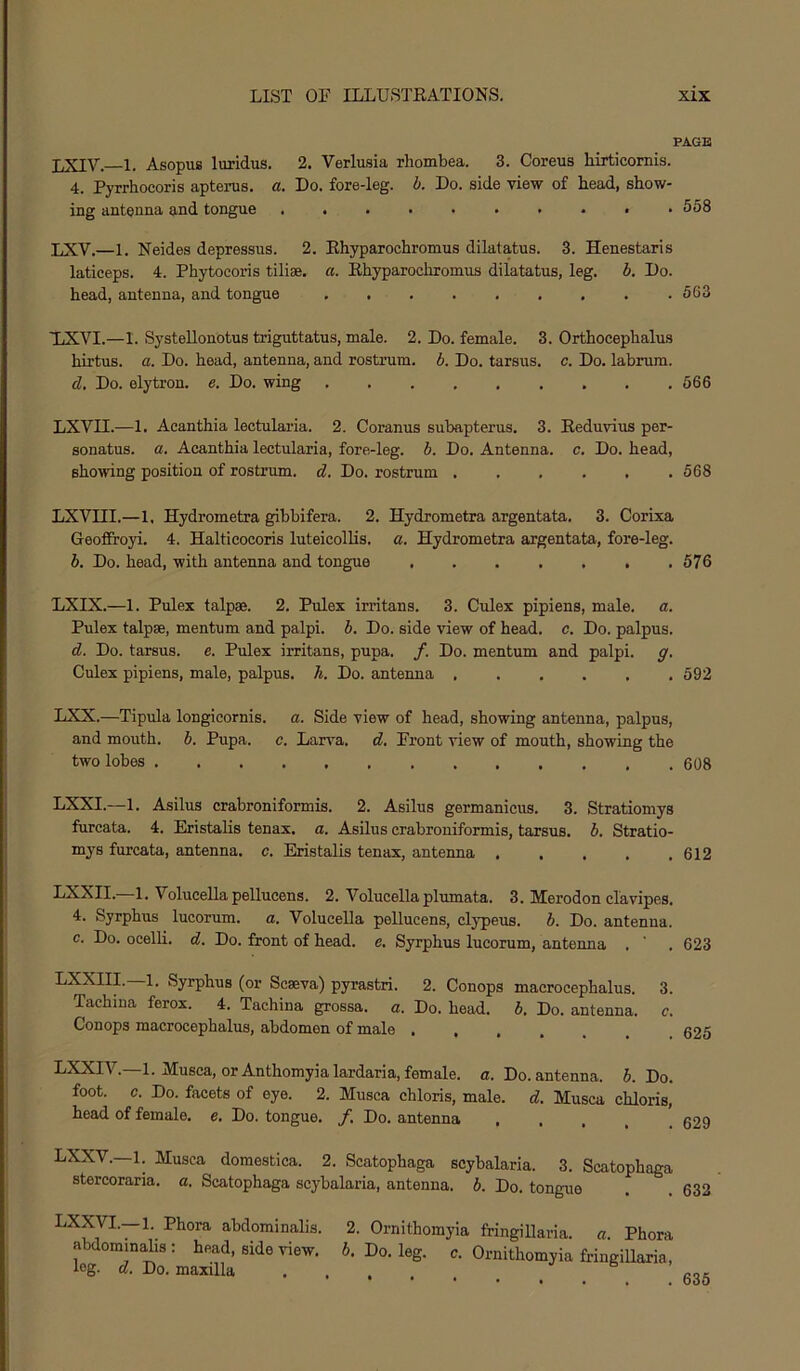 PAGE LXiV. 1. Asopus luridus. 2. Verlusia rhombea. 3. Coreus hirticornis. 4. Pyrrhoeoris aptems. o,. Do. fore-leg. h. Do. side view of headi show- ing antenna and tongue 558 LXV.—1. Neides depressus. 2. Ehyparochromus dilatatus. 3. Henestaris laticeps. 4. Phytocoris tilise. a. Ehyparochromus dilatatus, leg. h. Do. head, antenna, and tongue 563 XiXVI.—1. Systellonotus triguttatus, male. 2. Do. female. 3. Orthoeephalus hirtus. a. Do. head, antenna, and rostrum, b. Do. tarsus, c. Do. labrum. d. Do. elytron, e. Do. wing . . . , . . . . .566 LXVII.—1. Acanthia lectularia. 2. Coranus subapterus. 3. Eeduvius per- sonatus. a. Acanthia lectularia, fore-leg. h. Do. Antenna, c. Do. head, showing position of rostrum, d. Do. rostrum 568 LXVni.—1. Hydrometra gibbifera. 2. Hydrometra argentata. 3. Corixa Geofifroyi. 4. Halticocoris luteicolUs. a. Hydrometra argentata, fore-leg. h. Do. head, with antenna and tongue 576 LXIX.—1. Pulex talpse. 2. Pulex irritans. 3. Culex pipiens, male, a. Pulex talpse, mentum and palpi, h. Do. side view of head. c. Do. palpus. d. Do. tarsus, e. Pulex irritans, pupa. f. Do. mentum and palpi, g. Culex pipiens, male, palpus, h. Do. antenna 592 LXX.—Tipula longicornis. a. Side view of head, showing antenna, palpus, and mouth, b. Pupa. c. Larva, d. Front view of mouth, showing the two lobes 608 LXXI.—1. Asilus crabroniformis. 2. Asilus germanicus. 3. Stratiomys furcata. 4. Eristalis tenax. a. Asilus crabroniformis, tarsus, b. Stratio- mys furcata, antenna, c. Eristalis tenax, antenna , . , . .612 LXXII.—1. Volucellapellucens. 2. Volucellaplumata. 3. Merodon clavipes. 4. Syrphus lucorum. a. Volucella pellucens, clypeus. b. Do. antenna, c. Do. ocelli, d. Do. front of head. e. Syrphus lucorum, antenna . ' .623 LXXIII. 1. Syrphus (or Scseva) pyrastri. 2. Conops macrocephalus. 3. Tachina ferox. 4. Tachina grossa. a. Do. head. 5. Do. antenna, c. Conops macrocephalus, abdomen of male 625 LXXIV.—l. Musca, or Anthomyialardaria, female, a. Do. antenna. 6. Do. foot. c. Do. facets of eye. 2. Musca ehloris, male. d. Musca chloris, head of female, e. Do. tongue, f. Do. antenna 629 LXXV.—1. Musca domestica. 2. Scatophaga scybalaria. 3. Scatophaga stercoraria. a. Scatophaga scybalaria, antenna, b. Do. tongue LXXVI.—1. Phora abdominalis. 2. Ornithomyia fringillaria. a. Phora abdommahs: head, side view. 5. Do. leg. c. Ornithomyia fringillaria, log. d. Do. maxilla ... e >