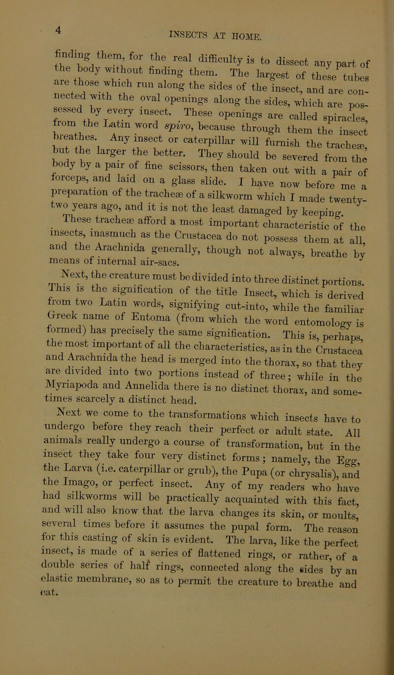 finding them for the real difficulty ie to dissect any part of tre tS^I r f* of these tubes ulctedTltT ft ™ r “<> nected with the oval openings along the sides, which are pos- from^h^J/T^ ‘°T‘‘ “penings are called spiracfes, fiom the Latin word aprro. because through them the insect hrea hes Any insect or caterpillar will furnish the tracheal, hut the larger the better. They should be severed from the body by a pair of fine scissors, then taken out with a pair of forceps, and laid on a glass slide. I have now before*^ me a preparation of the trache® of a silkworm which I made twentv- two years ago, and it is not the least damaged by keeping. hese tracheae afford a most important characteristic of the insects, inasmuch as the Crustacea do not possess them at all and the Arachmda generally, though not always, breathe by means of internal air-sacs. Next, the creature must be divided into three distinct portions This IS the signification of the title Insect, which is derived from two Latin words, signifying cut-into, while the familiar Greek name of Entoma (from which the word entomology is formed) has precisely the same signification. This is, perhaps the most important of all the characteristics, as in the Crustacea and Arachmda the head is merged into the thorax, so that they are divided into two portions instead of three; while in the Myriapoda and Annelida there is no distinct thorax, and some- times scarcely a distinct head. Next we come to the transformations which insects have to undergo before they reach their perfect or adult state. All animals really undergo a course of transformation, but in the insect they take four very distinct forms; namely, the Eo-g the Larva (i.e. caterpillar or grub), the Pupa (or chrysaHs), and the Imago, or perfect insect. Any of my readers who have had silkworms will be practically acquainted with this fact, and will also know that the larva changes its skin, or moults, several times before it assumes the pupal form. The reason foi this casting of skin is evident. The larva, like the perfect insect, is made of a series of flattened rings, or rather, of a double series of hal^ rings, connected along the sides by an elastic membrane, so as to permit the creature to breathe and (Ult.
