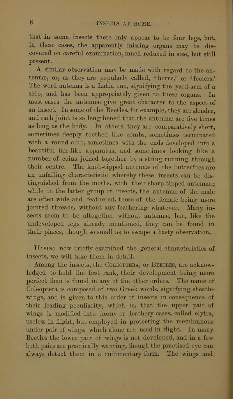 that ill some insects there only appear to be four legs, but, in these cases, the apparently missing organs may be dis- covered on careful examination, much reduced in size, but still present. A similar observation may be made with regard to the an- tennae, or, as they are popularly called, ‘ horns,’ or ‘ feelers.’ The word antenna is a Latin one, signifying the yard-arm of a ship, and has been appropriately given to these organs. In most cases the antennae give great character to the aspect of an insect. In some of the Beetles, for example, they are slender, and each joint is so lengthened that the antennae are five times as long as the body. In others they are comparatively short, sometimes deeply toothed like combs, sometimes terminated with a round club, sometimes with the ends developed into a beautiful fan-like apparatus, and sometimes looking like a number of coins joined together by a string running through their centre. The knob-tipped antennae of the butterflies are an unfailing characteristic whereby these insects can be dis- tinguished from the moths, with their sharp-tipped antennae.; while in the latter group of insects, the antennae of the male are often wide and feathered, those of the female being mere jointed threads, without any feathering whatever. Many in- sects seem to be altogether without antennae, but, like the undeveloped legs already mentioned, they can be found in their places, though so small as to escape a hasty observation. Having now briefly examined the general characteristics of insects, we will take them in detail. Among the insects, the Coleopteea, or Beetles, are acknow- ledged to hold the first rank, their development being more perfect than is found in any of the other orders. The name of Coleoptera is composed of two Greek words, signifying sheath- wings, and is given to this order of insects in consequence of their leading peculiarity, which is, that the upper pair of wings is modified into horny or leathery cases, called elytra, useless in flight, but employed in protecting the membranous under pair of wings, which alone are used in flight. In many Beetles the lower pair of wings is not developed, and in a few both pairs are practically wanting, though the practised eye can always detect them in a rudimentary form. The wings and