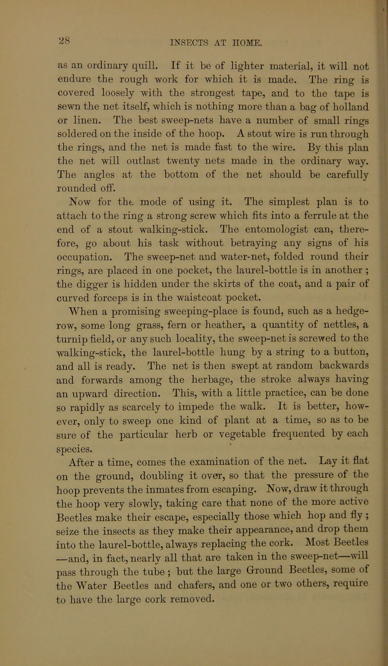 as an ordinary quill. If it be of lighter material, it will not endure the rough work for which it is made. The ring is covered loosely with the strongest tape, and to the tape is sewn the net itself, which is nothing more than a hag of holland or linen. The best sweep-nets have a number of small rings soldered on the inside of the hoop. A stout wire is run through the rings, and the net is made fast to the wire. By this plan the net will outlast twenty nets made in the ordinary way. The angles at the bottom of the net should be carefully rounded oif. Now for the mode of using it. The simplest plan is to attach to the ring a strong screw which fits into a ferrule at the end of a stout walking-stick. The entomologist can, there- fore, go about his task without betraying any signs of his occupation. The sweep-net and water-net, folded round their rings, are placed in one pocket, the laurel-bottle is in another ; the digger is hidden under the skirts of the coat, and a pair of curved forceps is in the waistcoat pocket. When a promising sweeping-place is found, such as a hedge- row, some long grass, fern or heather, a quantity of nettles, a turnip field, or any such locality, the sweep-net is screwed to the walking-stick, the laurel-bottle hung by a string to a button, and all is ready. The net is then swept at random backwards and forwards among the herbage, the stroke always having an upward direction. This, with a little practice, can be done so rapidly as scarcely to impede the walk. It is better, how- ever, only to sweep one kind of plant at a time, so as to be sui-e of the particular herb or vegetable frequented by each species. After a time, comes the examination of the net. Lay it flat on the ground, doubling it over, so that the pressure of the hoop prevents the inmates from escaping. Now, draw it through the hoop very slowly, taking care that none of the more active Beetles make their escape, especially those which hop and fly ; seize the insects as they make their appearance, and drop them into the laurel-bottle, always replacing the cork. INIost Beetles —and, in fact, nearly all that are taken in the sweep-net—will pass through the tube; but the large Grround Beetles, some of the Water Beetles and chafers, and one or two others, require to have the large cork removed.