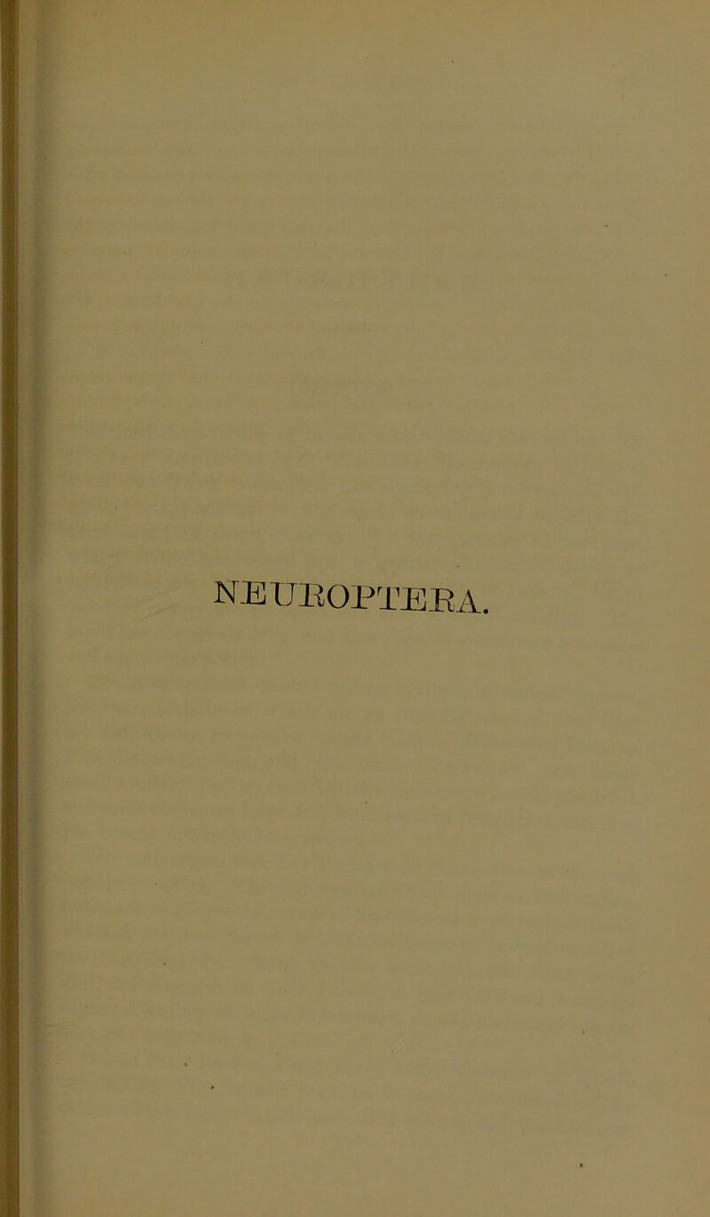 NEIJEOPTEEA.